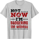 Mock Trial Court Not Now I'm Badgering the Witness T-Shirt - T-Shirt | Ash