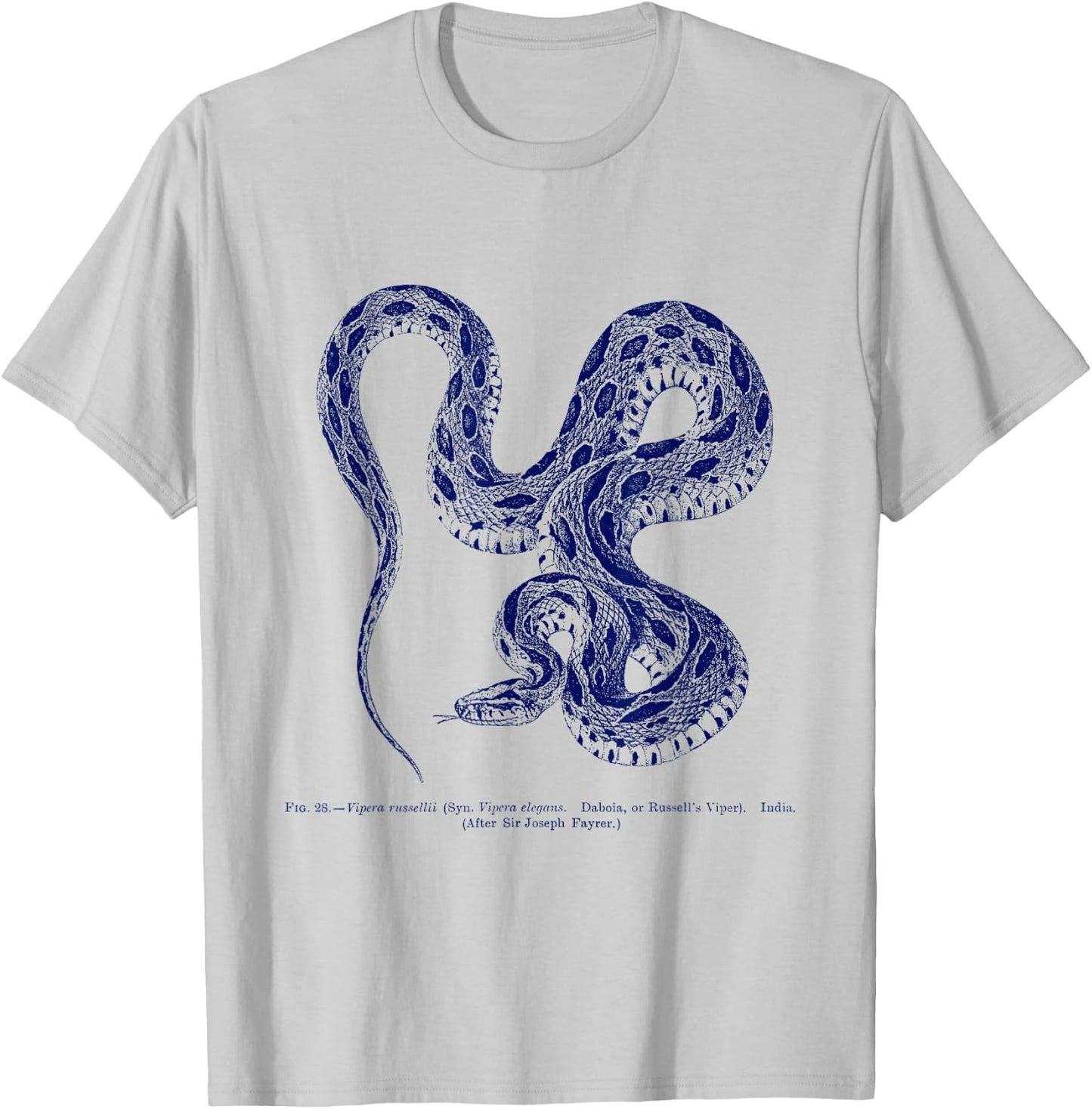 Vintage Ophiology Russell's Viper Snake T-Shirt - T-Shirt | Ash