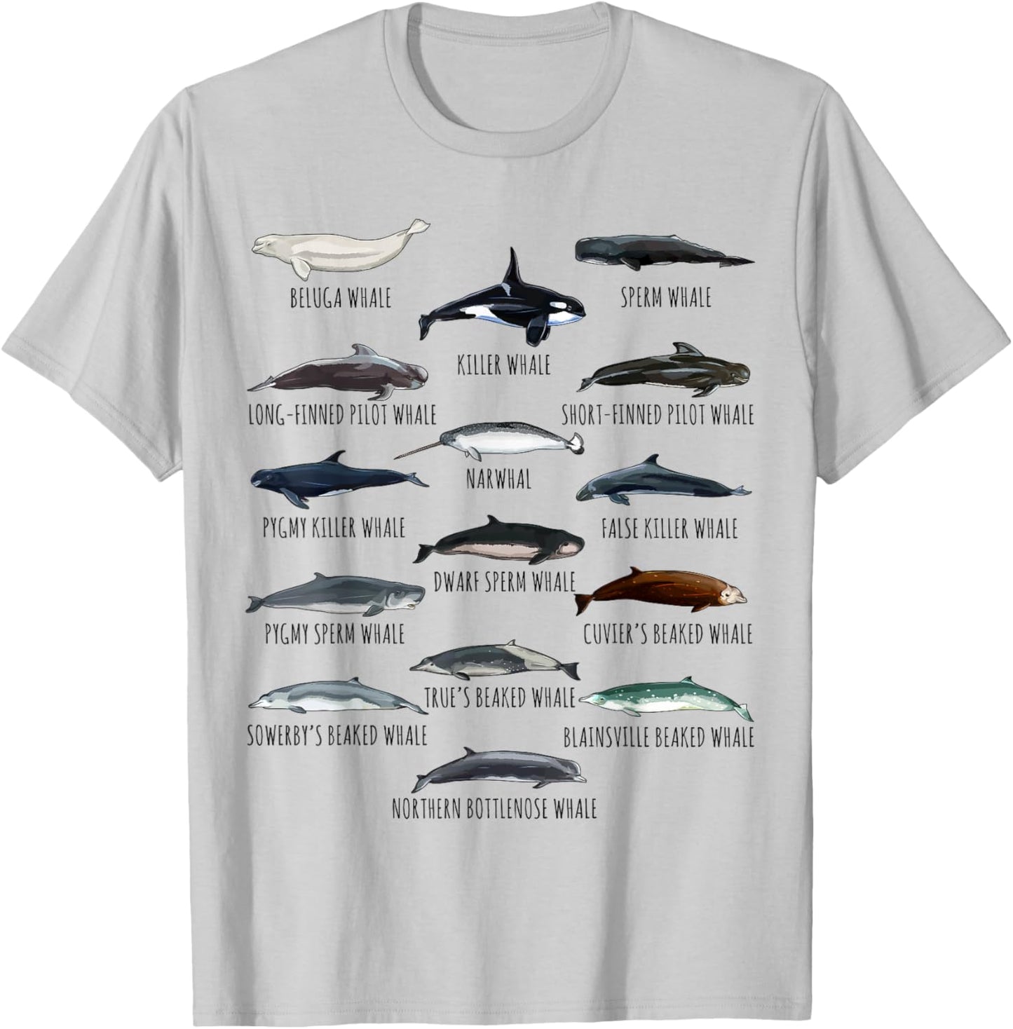 Whales Species Biology Different Types Of Whales T-Shirt - T-Shirt | Ash