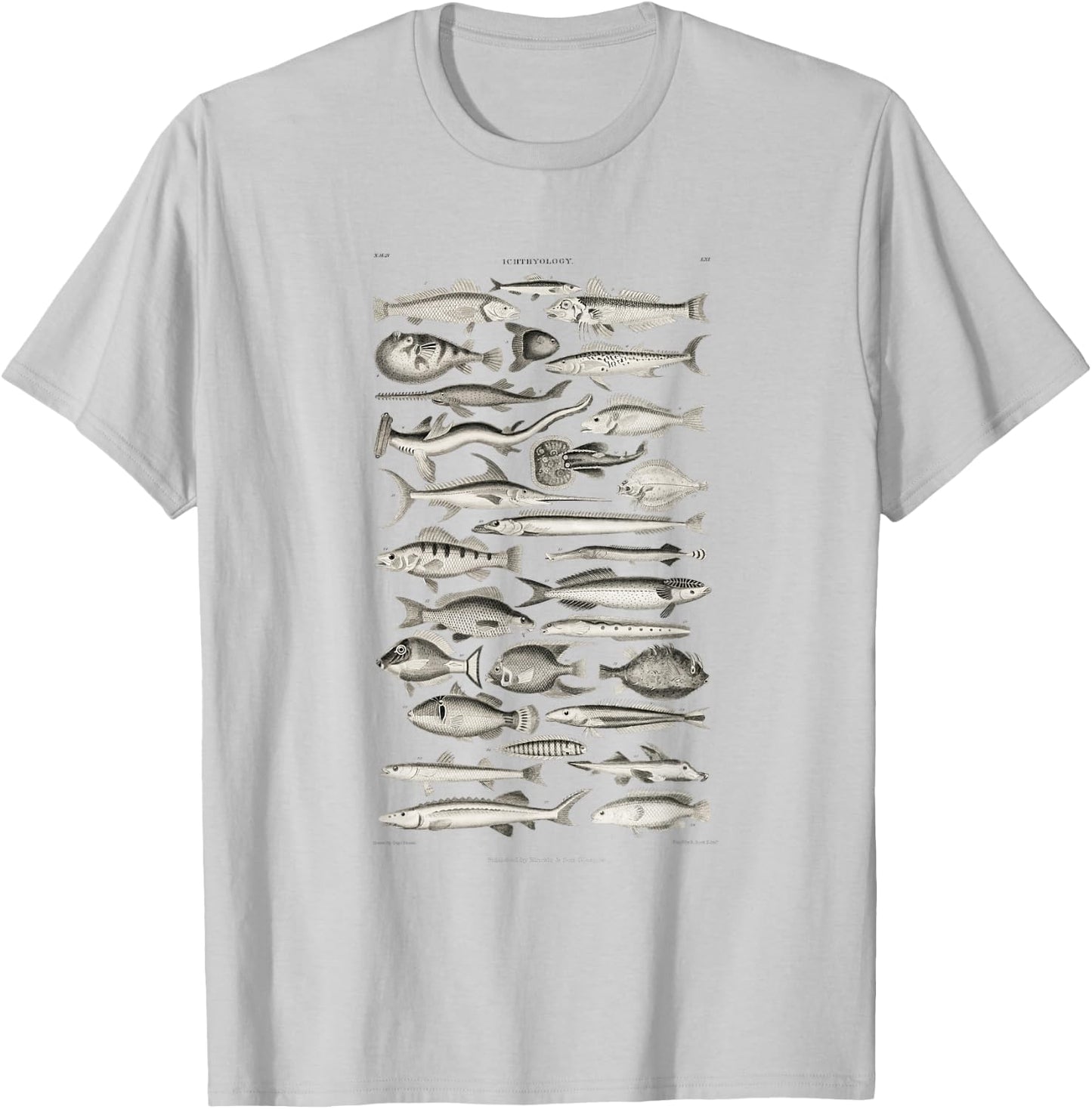 Ichthyology Fishes History Earth And Nature Sea Antique Art T-Shirt - T-Shirt | Ash