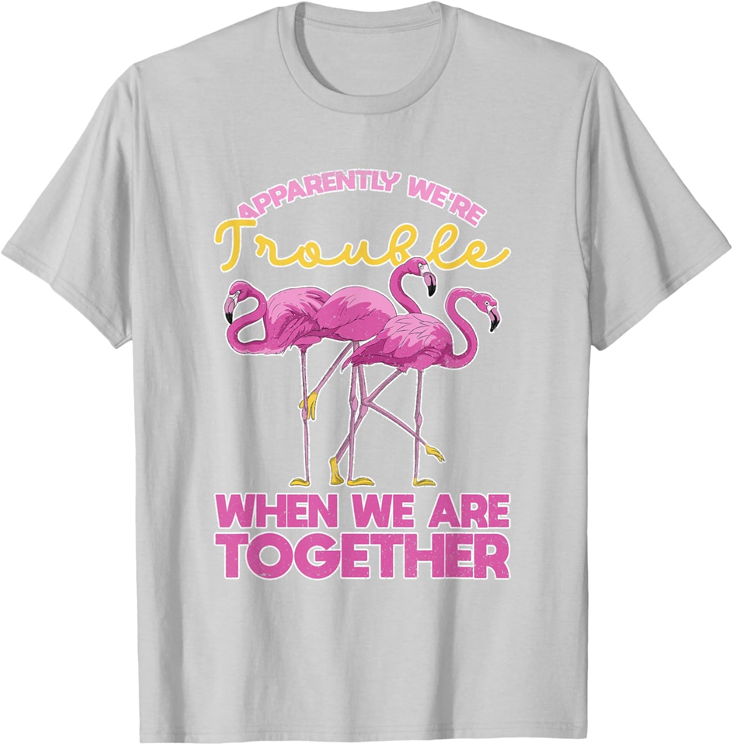 Apparently Were Trouble When We Are Together Funny Flamingo T-Shirt - T-Shirt | Ash