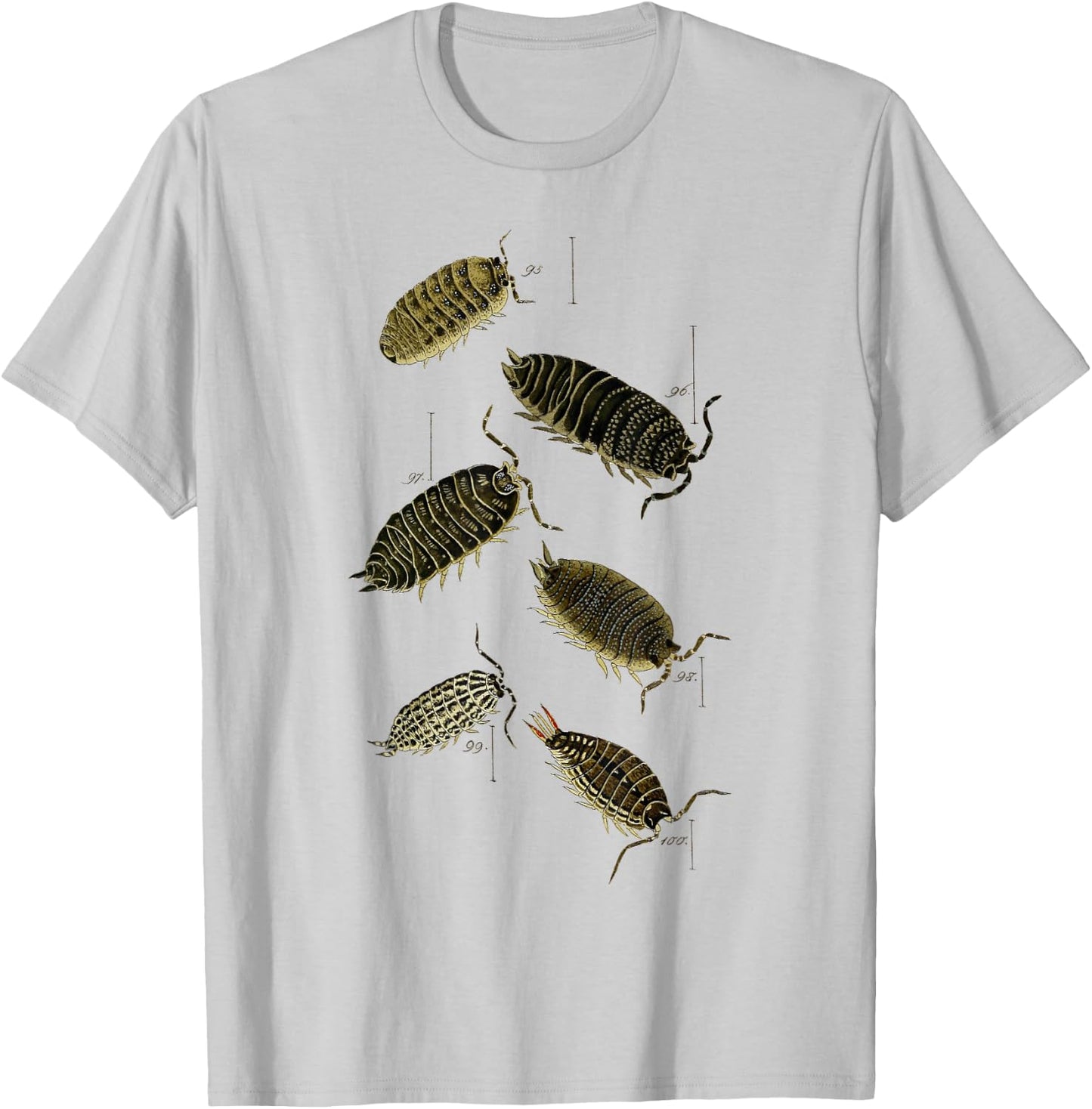 Pill Bug Porcellio scaber woodlice sowbugs T-Shirt - T-Shirt | Ash