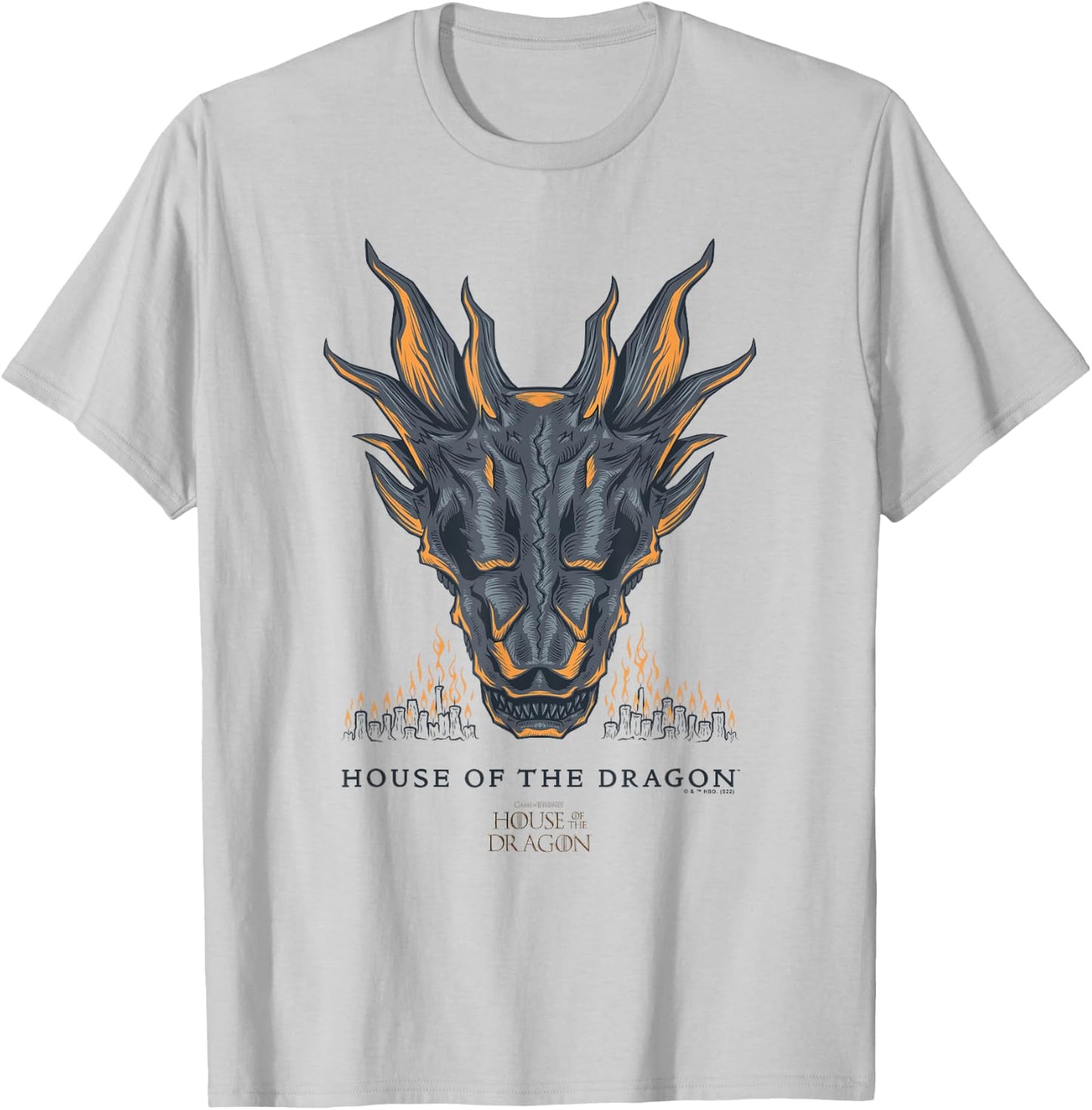 House of the Dragon Skull City Fire T-Shirt - T-Shirt | Ash