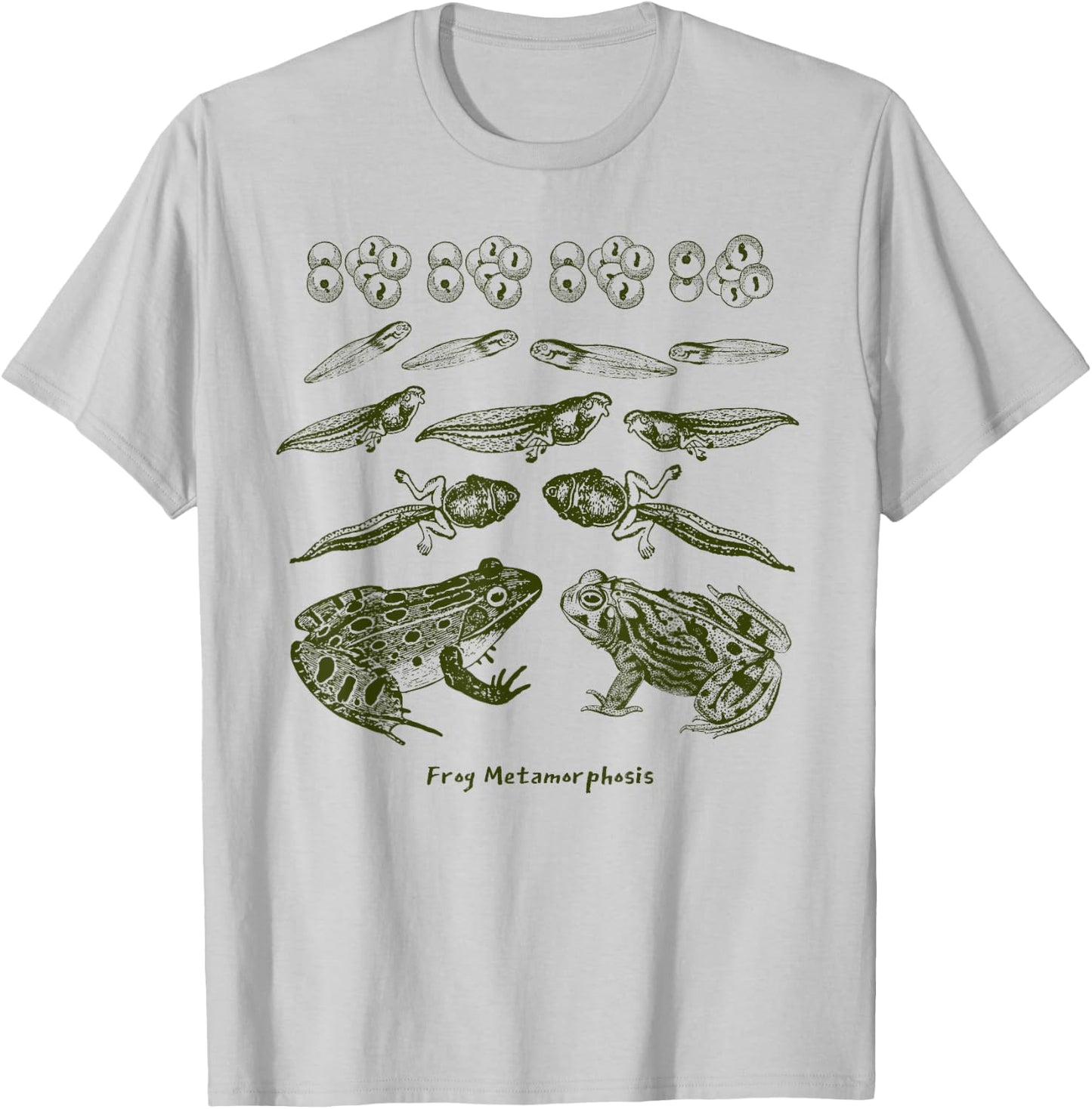Frog Tadpole Life Cycle Metamorphosis Biology Science T-Shirt - T-Shirt | Ash