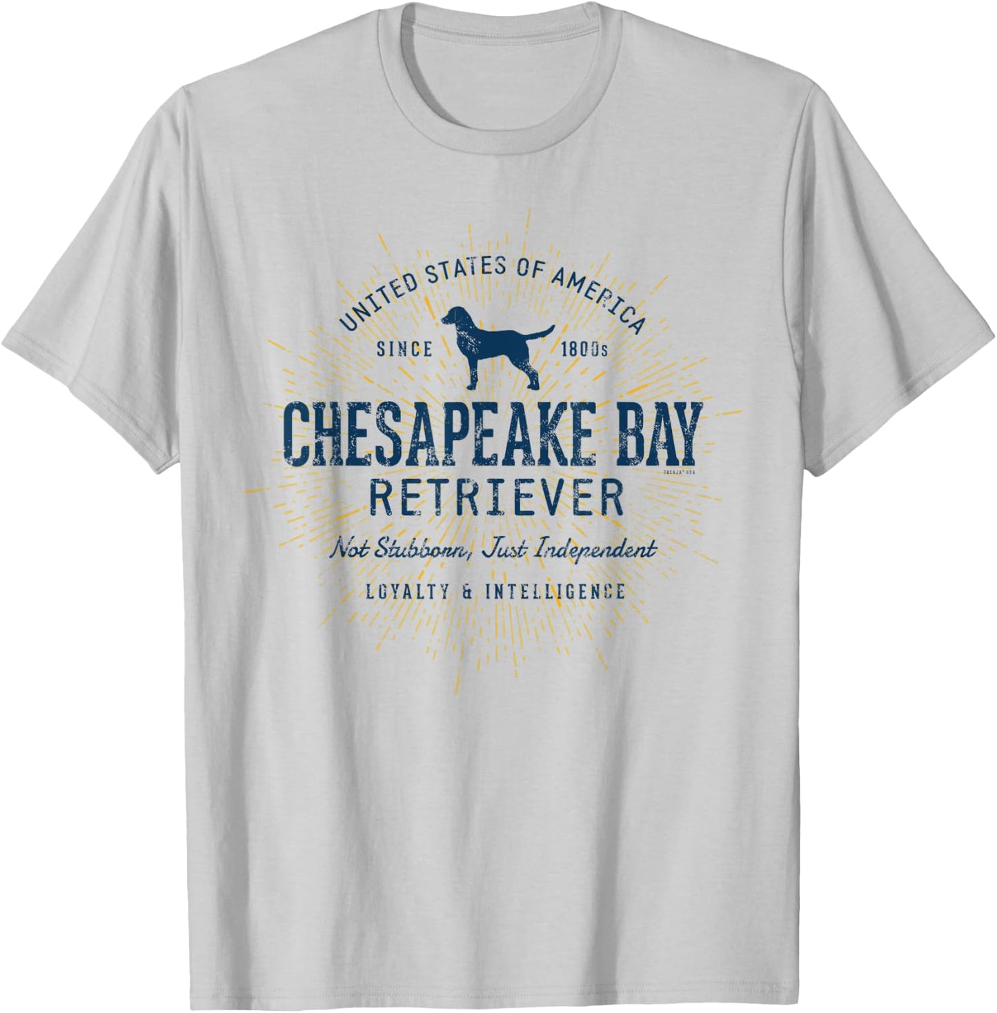 Chessie Dog Vintage Style Retro Chesapeake Bay Retriever Men Women Kids T-Shirt - T-Shirt | Ash
