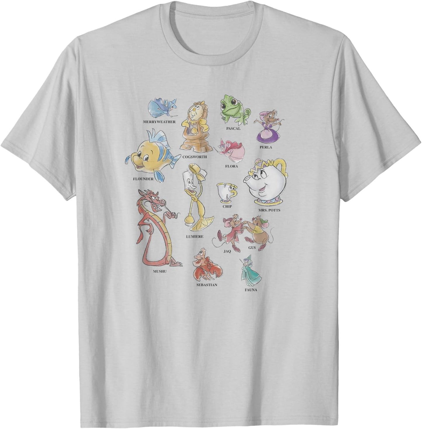 Disney Princesses Sidekick Identification Chart Small T-Shirt - T-Shirt | Ash