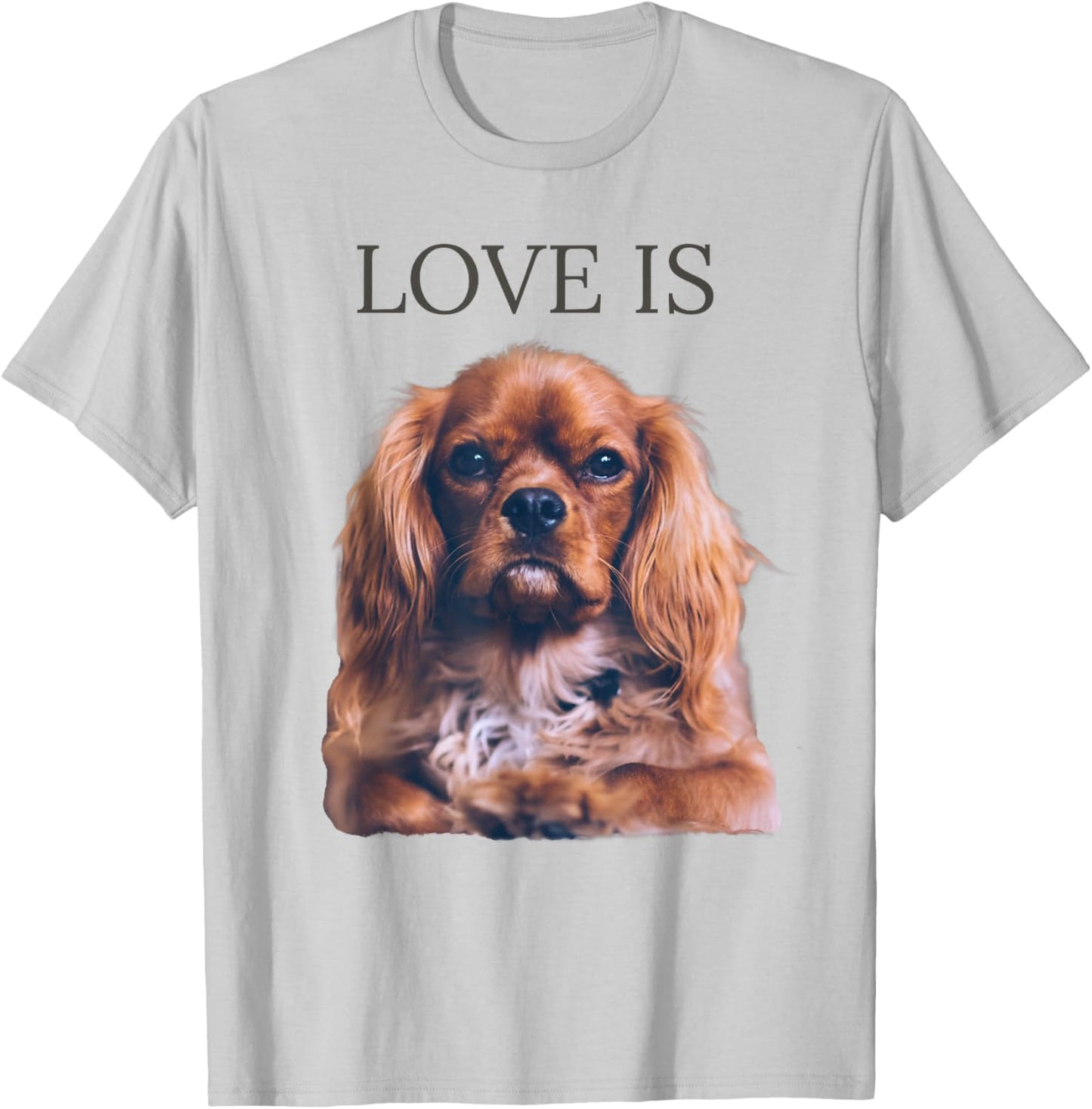 Cavalier King Charles Spaniel Shirt Men Women Dog Mom Dad T-Shirt - T-Shirt | Ash