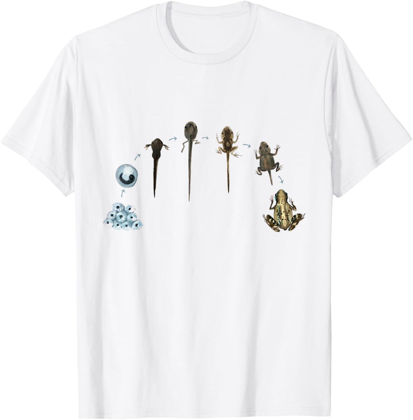 Frog Life Cycle Amphibian Frog Lover Biology Science Tadpole T-Shirt - T-Shirt | White