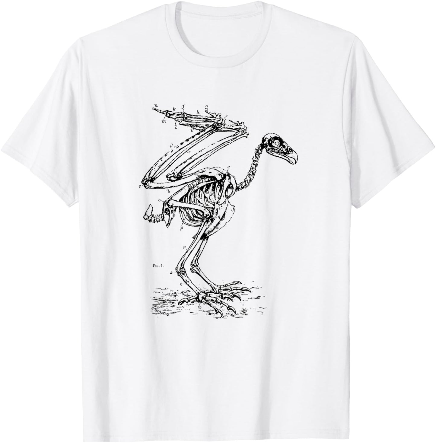 Vintage Eagle Skeleton - Scientific Diagram Bird Skull T-Shirt - T-Shirt | White