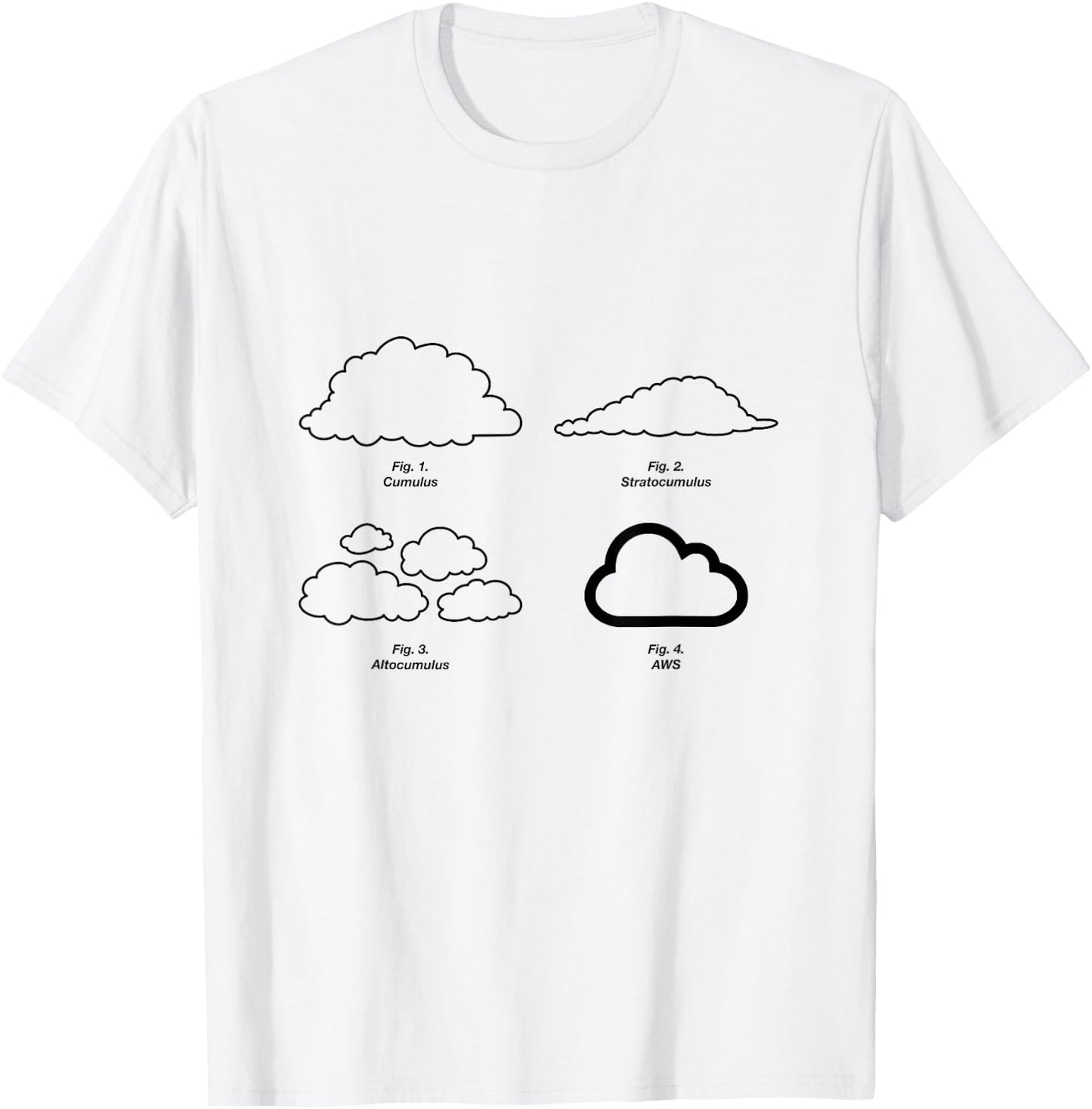 Types of Clouds Diagram - Cloud Server, AWS, Science - Funny T-Shirt - T-Shirt | White