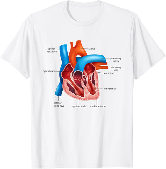 Funny Human Heart Anatomy Anatomical Heart T-Shirt - T-Shirt | White