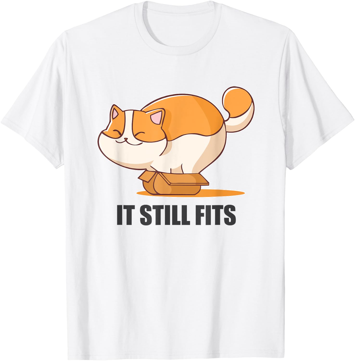 Cat In A Box Funny Fluffy Cat It Still Fits Shirt T-Shirt - T-Shirt | White