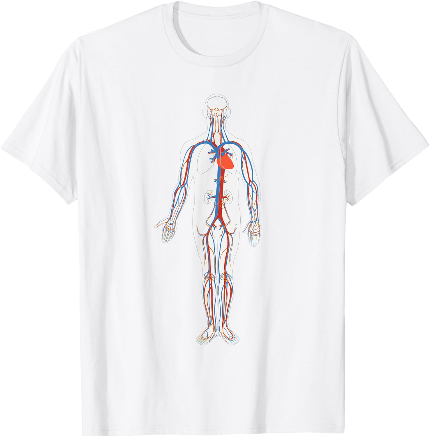 Circulatory System Anatomy Chart Arteries Veins T-Shirt - T-Shirt | White
