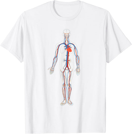 Circulatory System Anatomy Chart Arteries Veins T-Shirt - T-Shirt | White