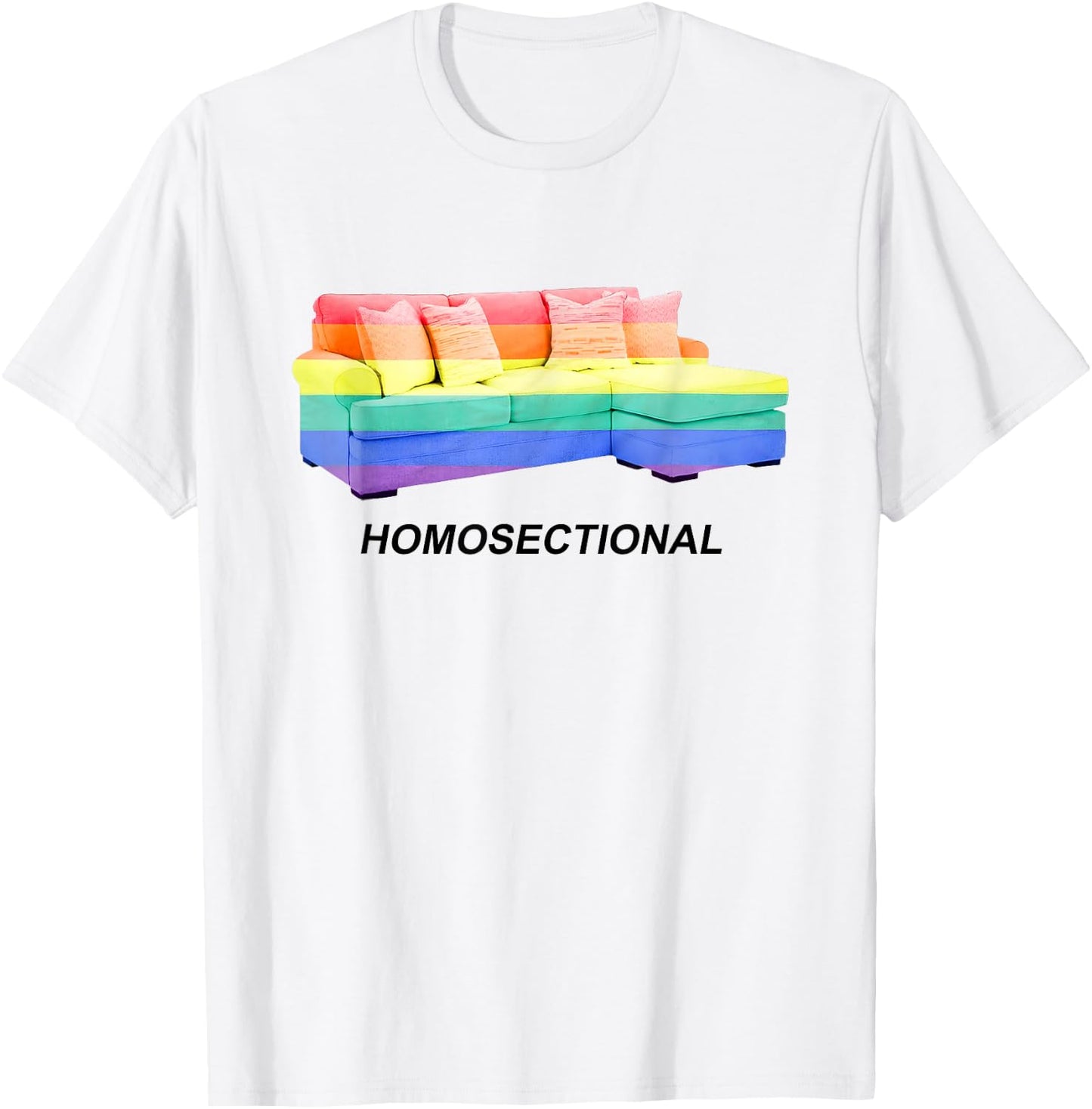 Homosectional LGBT Gay Pride Rainbow Flag Funny Saying Quote T-Shirt - T-Shirt | White