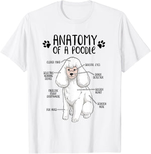 Funny Anatomy Poodle Dog Standard Poodle Owner Poodle Lover T-Shirt - T-Shirt | White