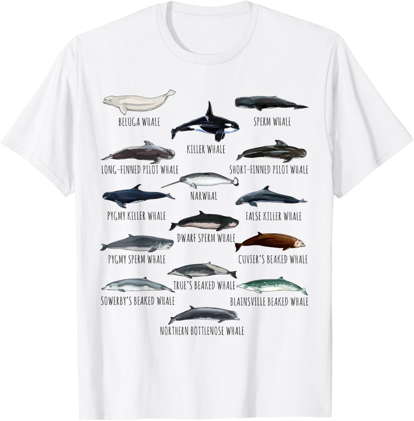 Whales Species Biology Different Types Of Whales T-Shirt - T-Shirt | White