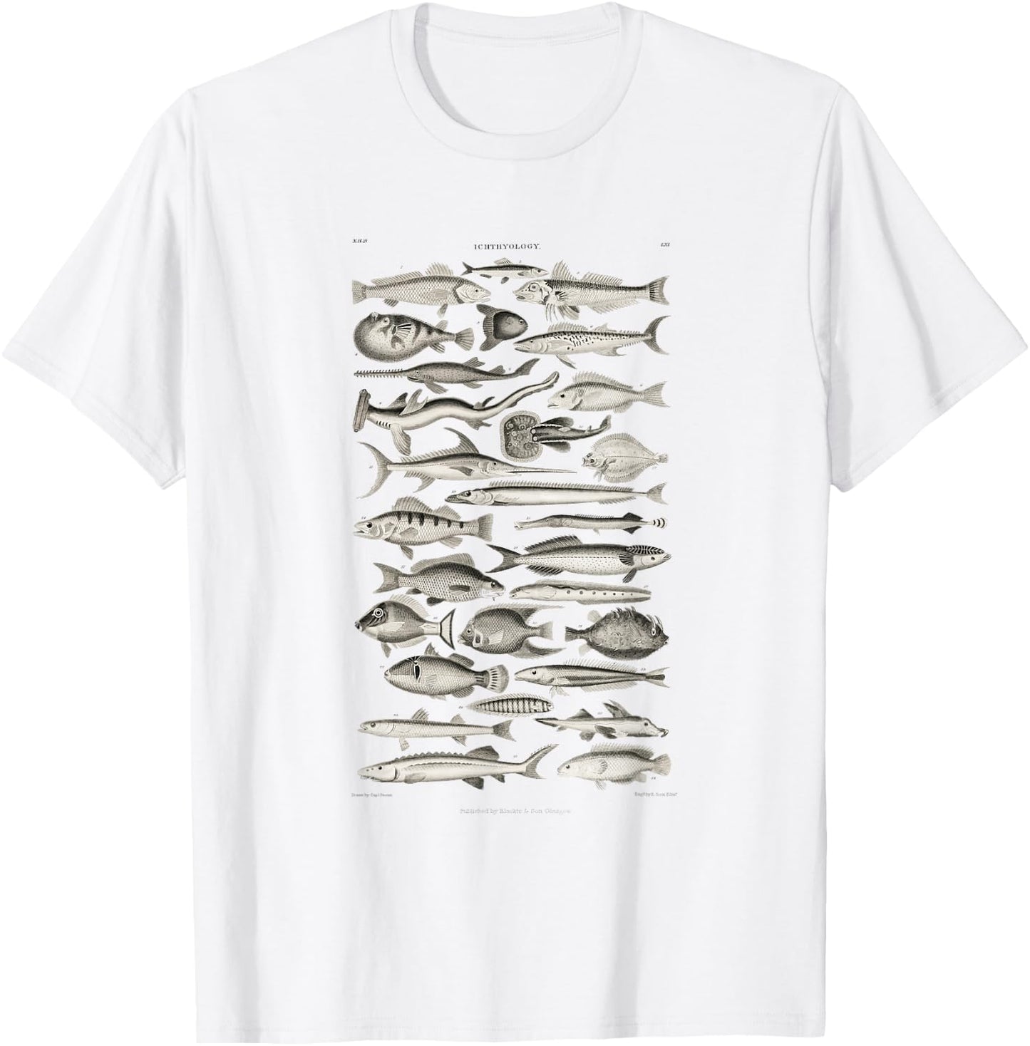 Ichthyology Fishes History Earth And Nature Sea Antique Art T-Shirt - T-Shirt | White