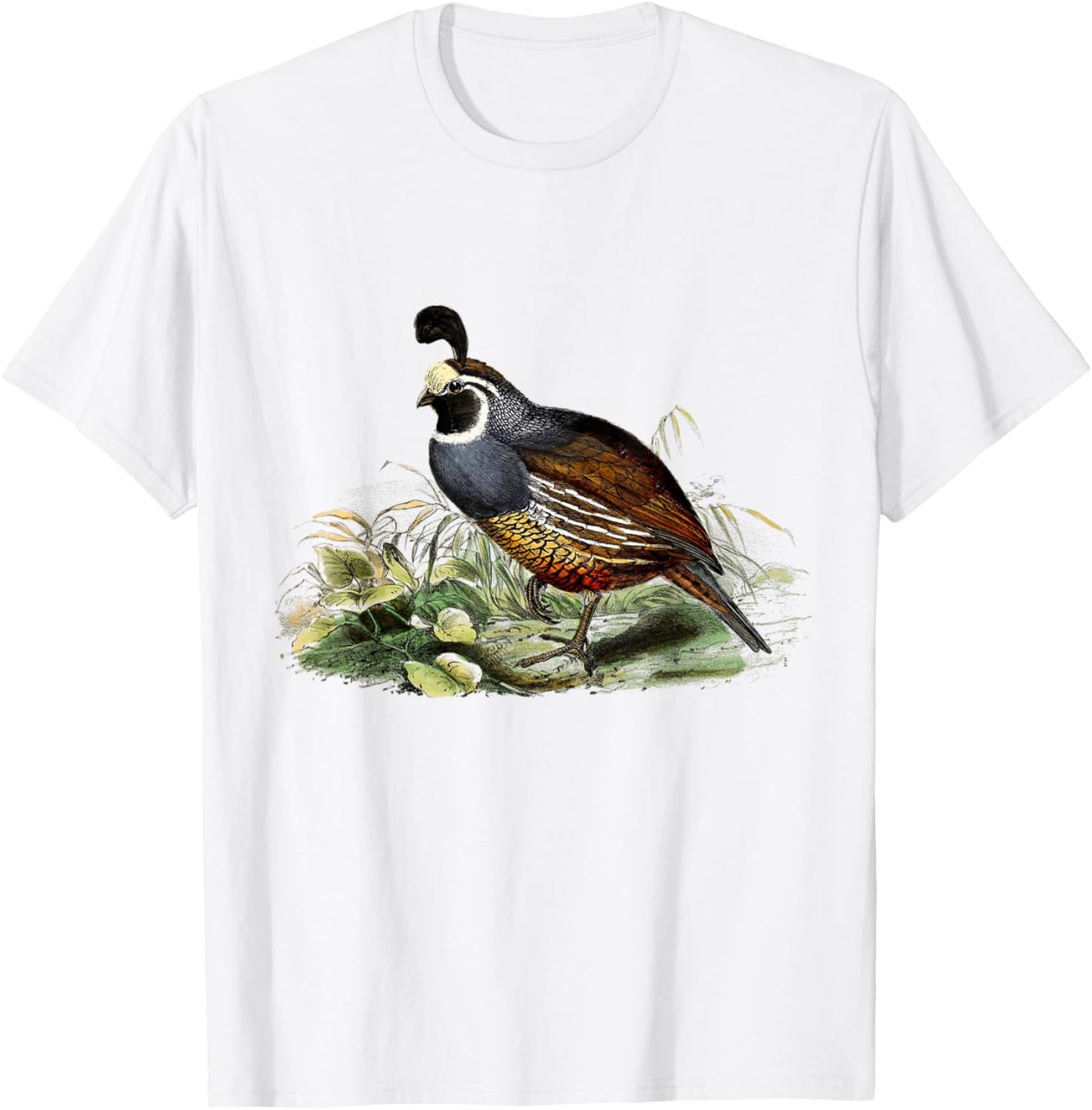 California Quail CA Quail Birder California Quail T-Shirt - T-Shirt | White