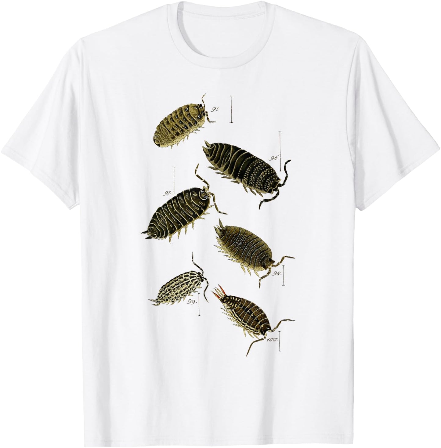 Pill Bug Porcellio scaber woodlice sowbugs T-Shirt - T-Shirt | White