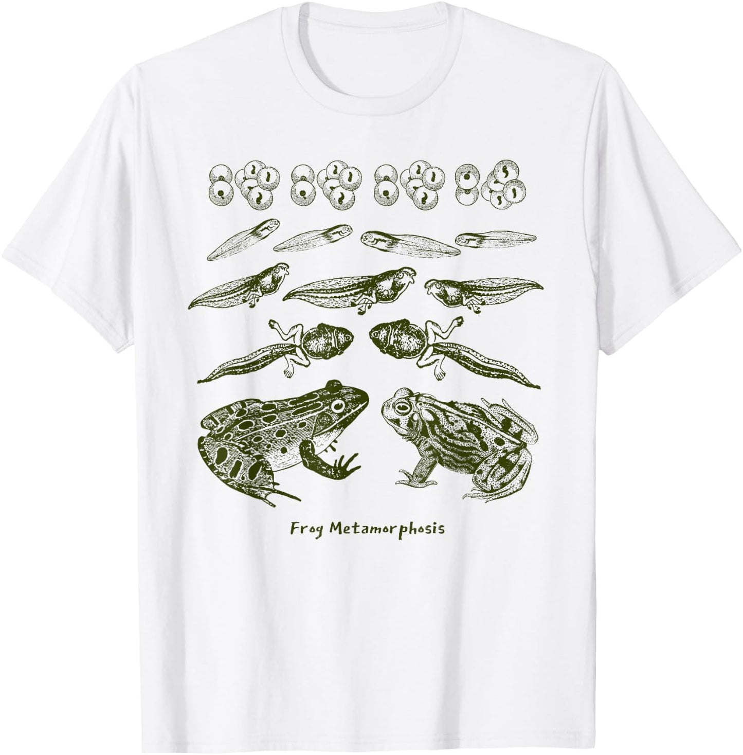 Frog Tadpole Life Cycle Metamorphosis Biology Science T-Shirt - T-Shirt | White