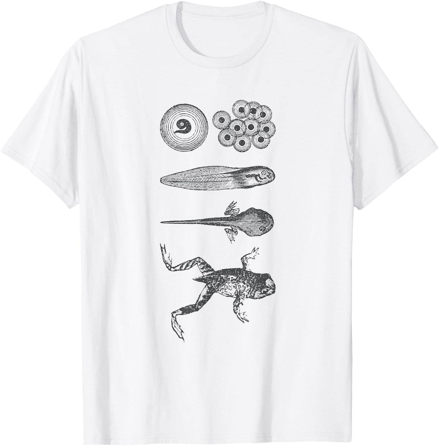 Frog Tadpole Metamorphosis Life Cycle Biology T-Shirt - T-Shirt | White