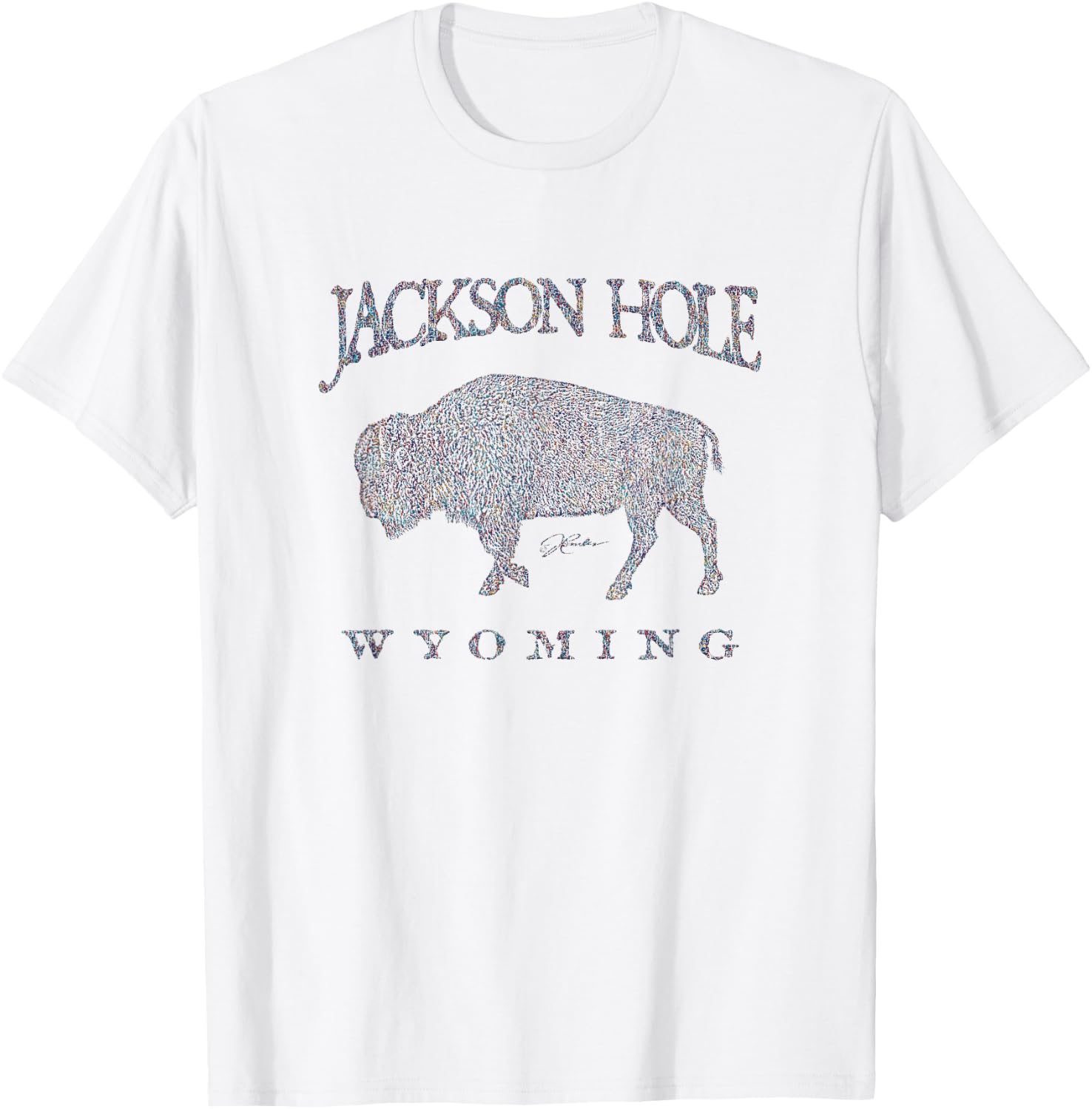 JCombs: Jackson Hole, WY, Walking Bison T-Shirt - T-Shirt | White