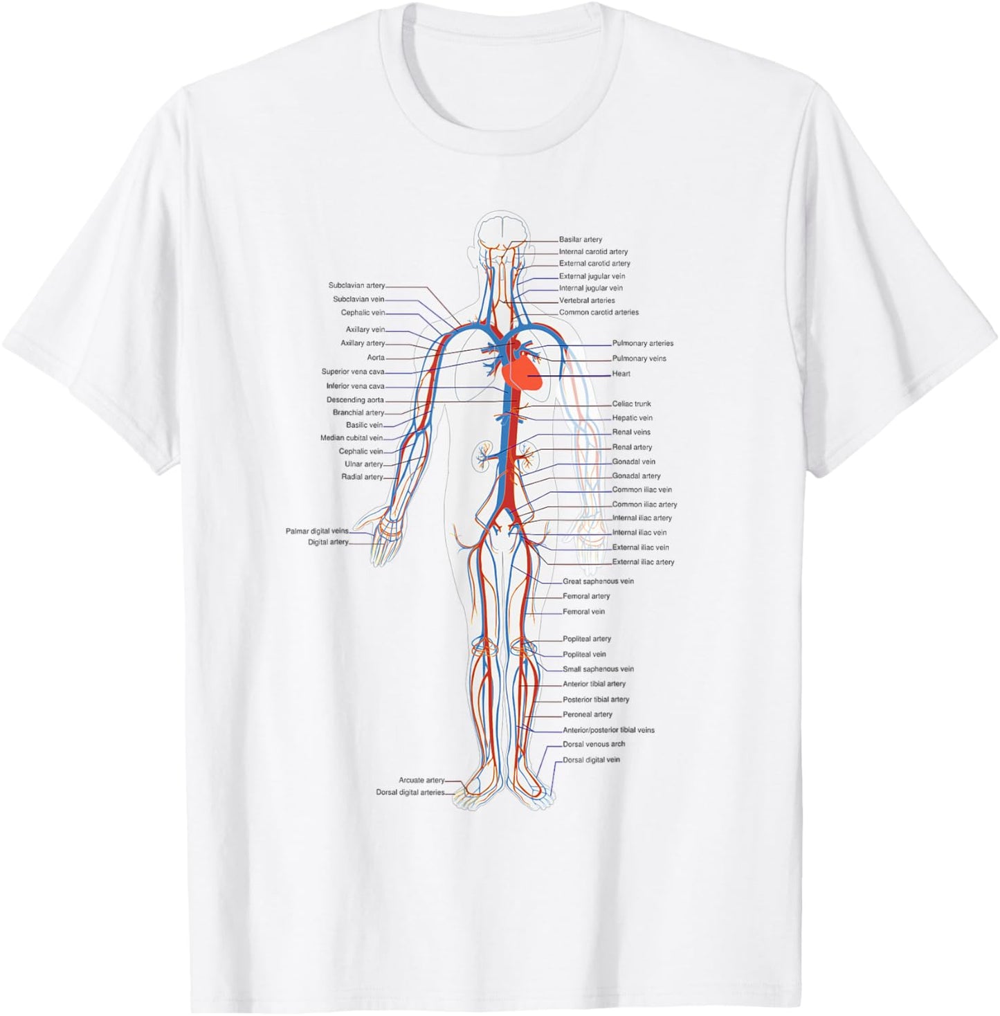 The Human Circulatory System Vascular System Anatomy Biology T-Shirt - T-Shirt | White