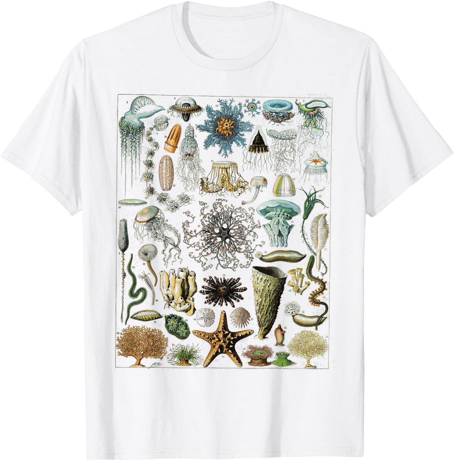 Oceanography Ocean Zoology biologists sailing T-Shirt - T-Shirt | White
