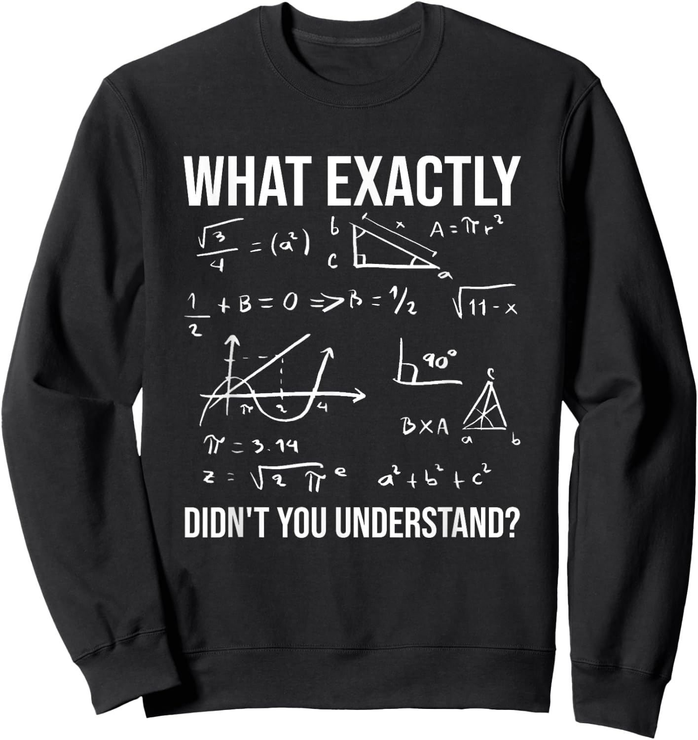 What exactly did you not understand? Funny math teacher? Men Women Kids Sweatshirt - Sweatshirt | Black