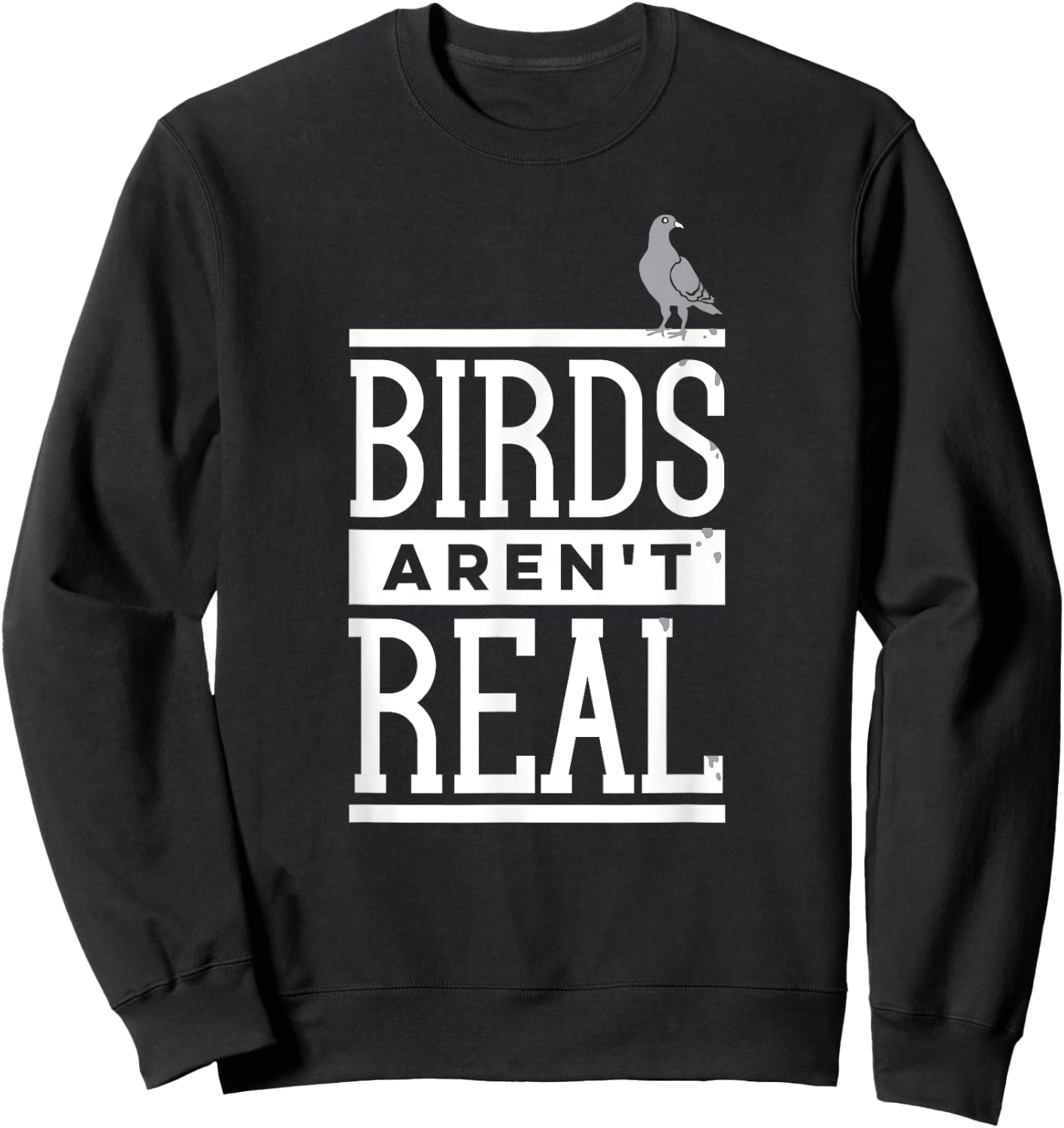 Birds Aren't Real Conspiracy Theory Surveillance Poop Sweatshirt - Sweatshirt | Black