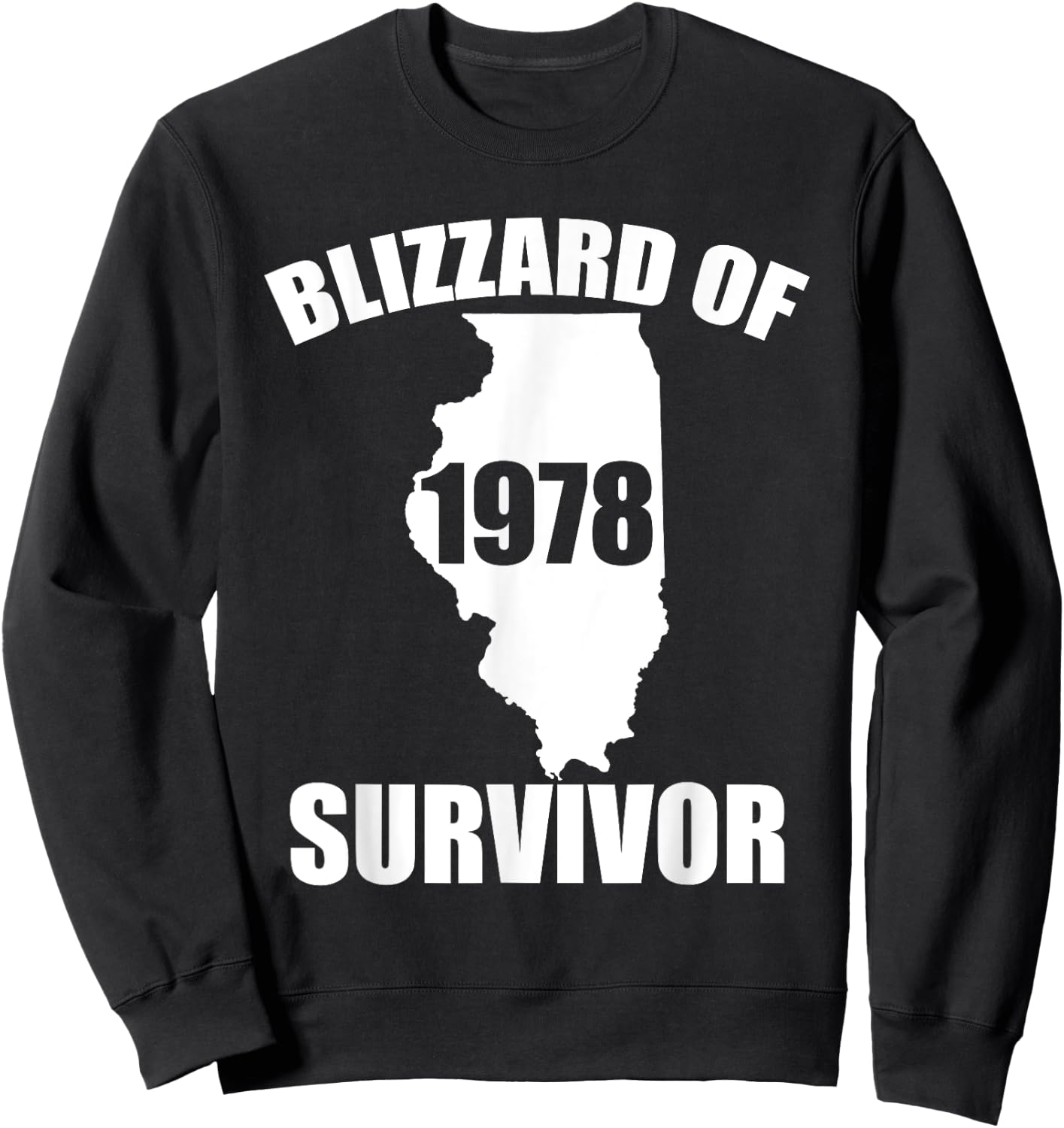 Blizzard Of 1978 Survivor Funny Illinois Winter Snowstorm Sweatshirt - Sweatshirt | Black