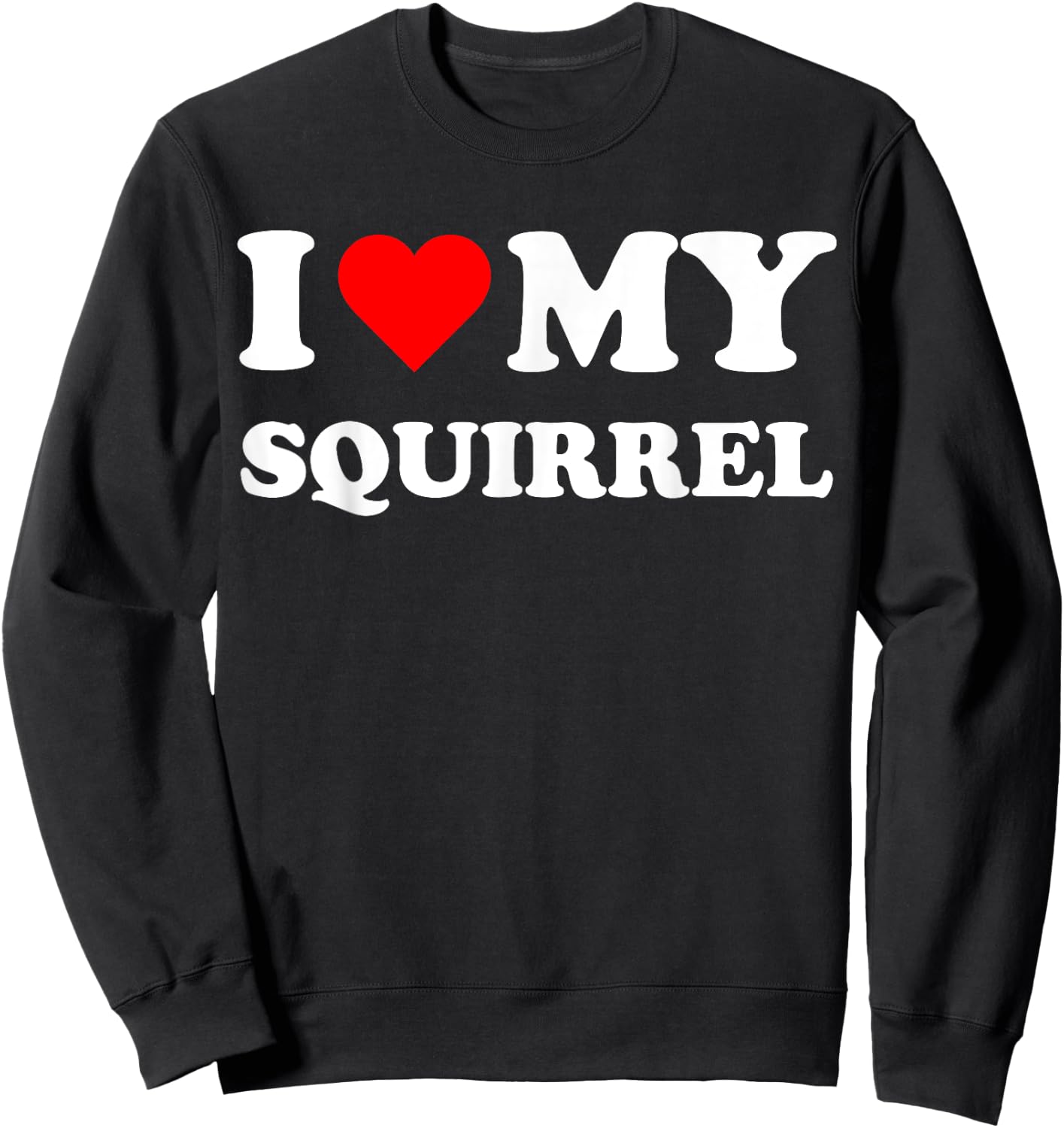 I Heart My Squirrel I love my Squirrels Cute Funny Pet Owner Sweatshirt - Sweatshirt | Black
