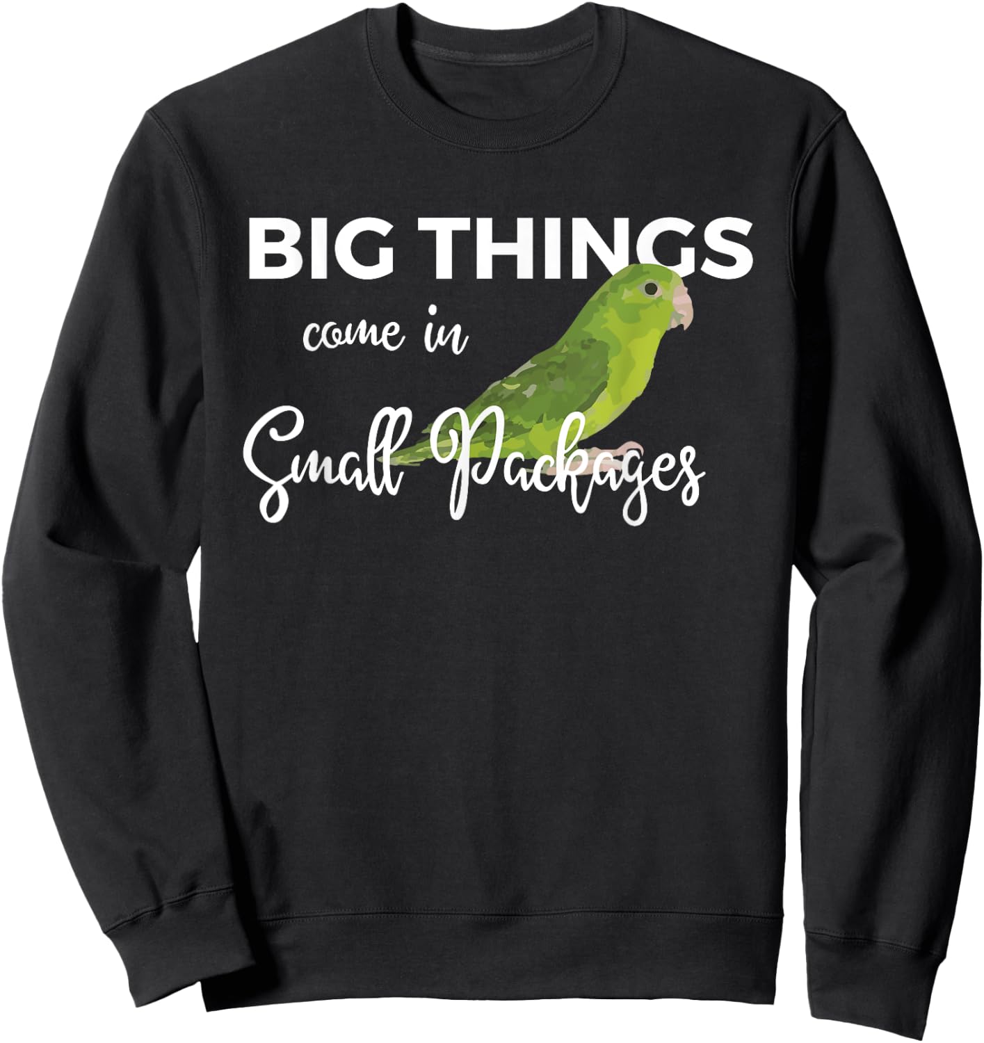 Big Things Come In Small Packages Fun Parrotlet Gift Design Sweatshirt - Sweatshirt | Black