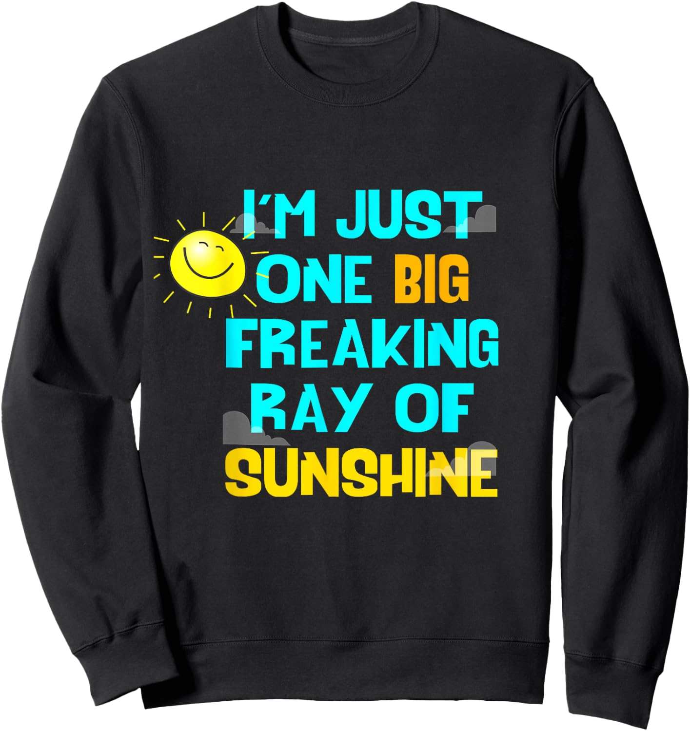 I'm One Big Freaking Ray Of Sunshine Sweatshirt - Sweatshirt | Black