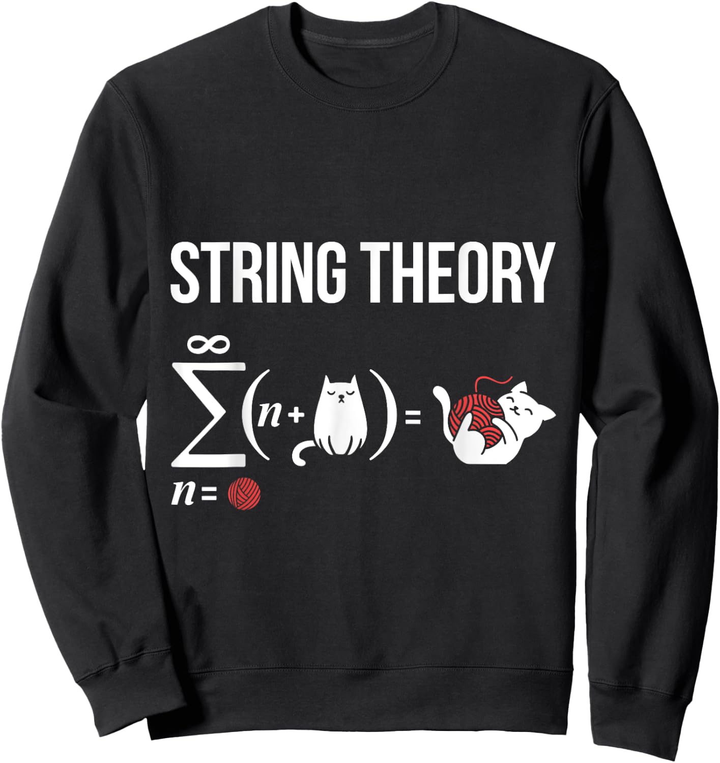 Nerd Physics Student Science Stringtheory Sweatshirt - Sweatshirt | Black