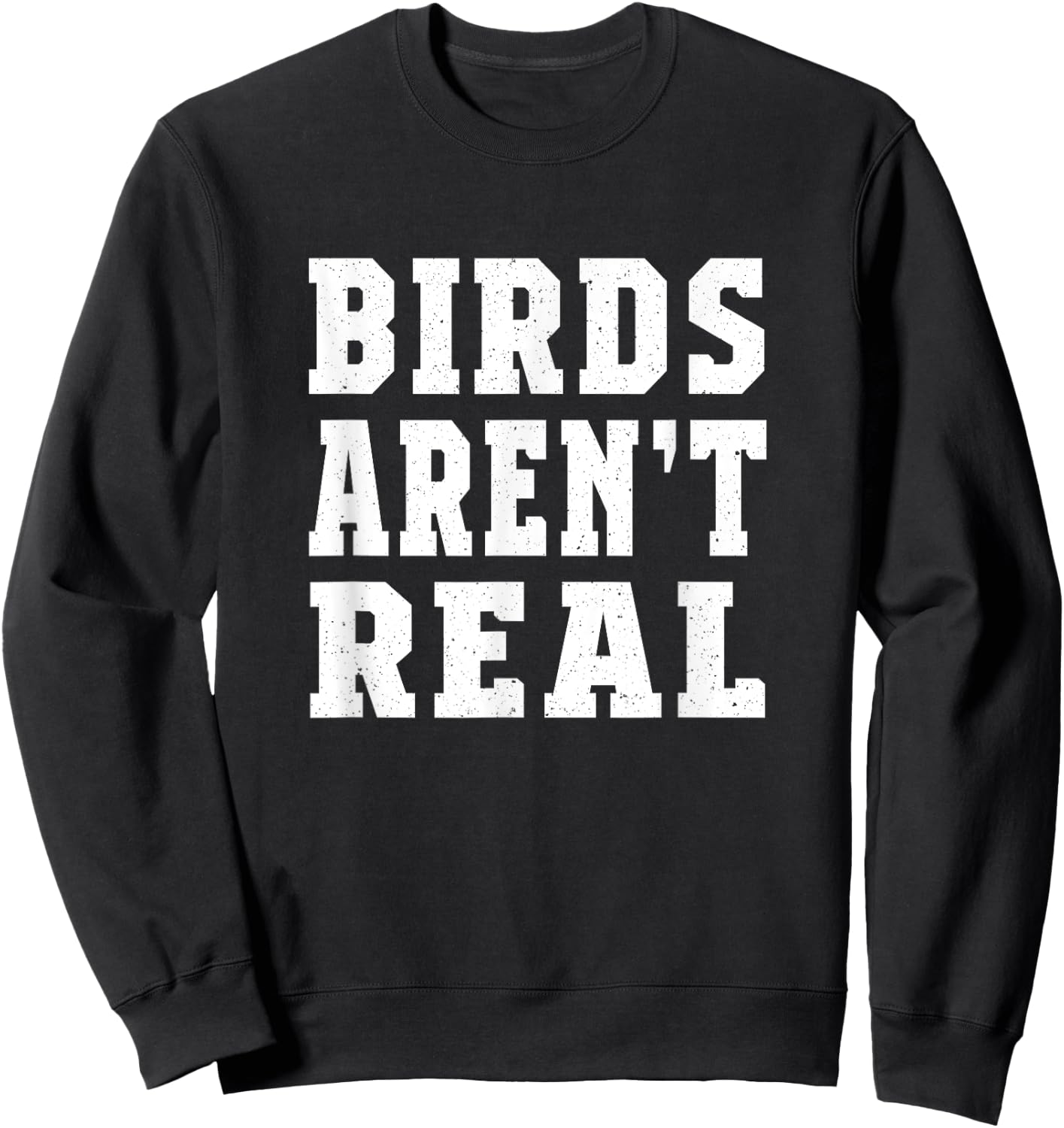 Men Women Birds Aren’t Real Sweatshirt - Sweatshirt | Black