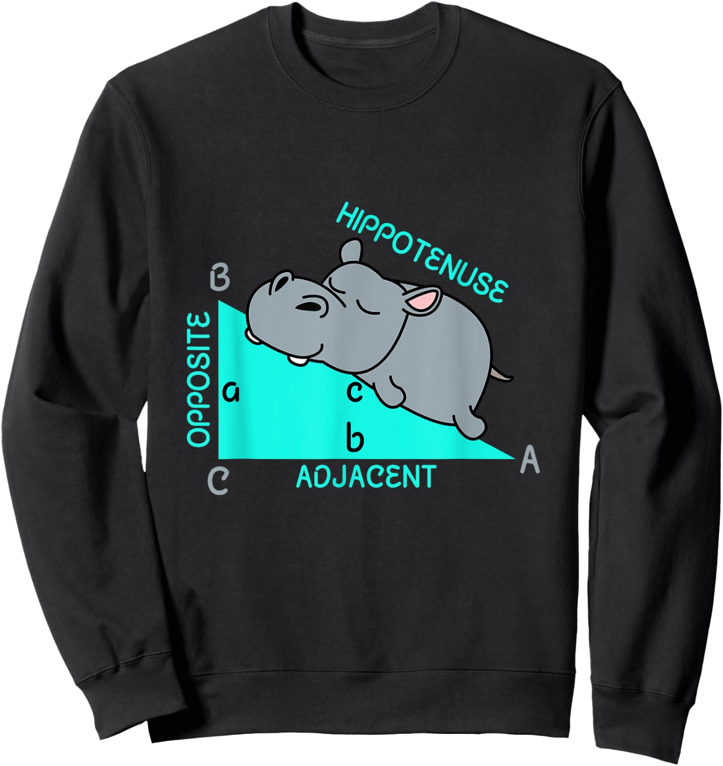 Hippotenuse Math Mathematics Teacher Joke fun Saying Sweatshirt - Sweatshirt | Black