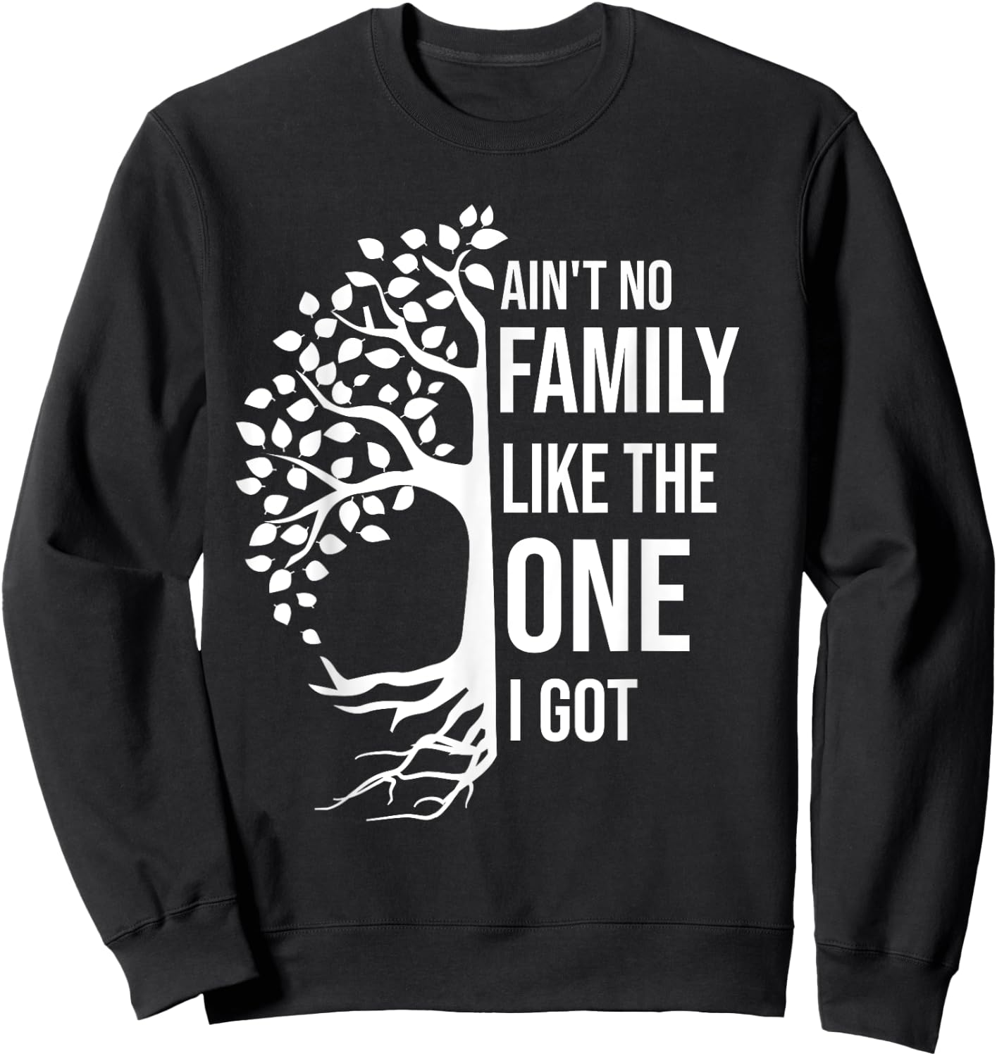 Ain't No Family Like The One I Got Funny Family Reunion 2025 Sweatshirt - Sweatshirt | Black