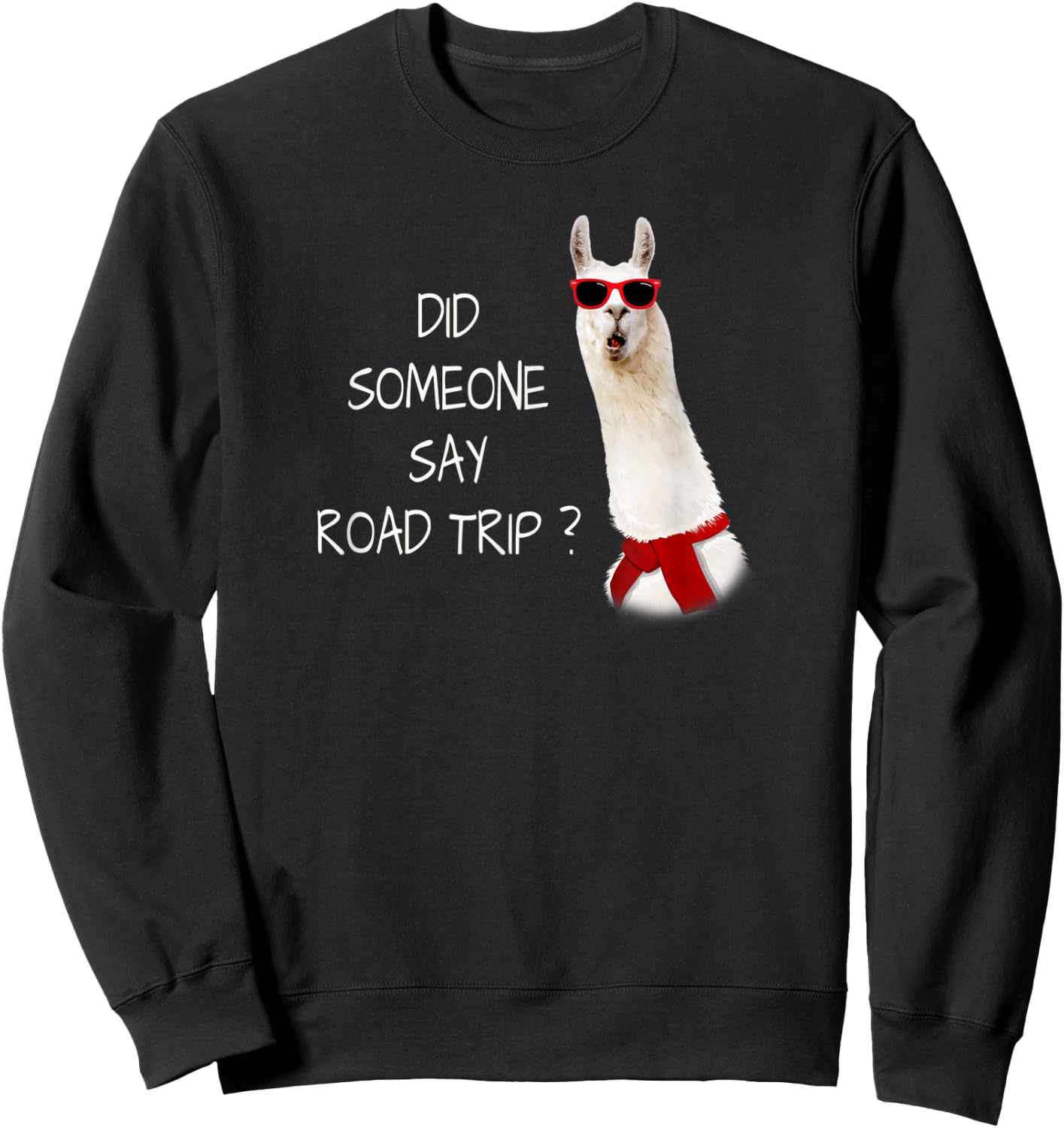 DID SOMEONE SAY ROAD TRIP? Funny Mini Vacation Sweatshirt - Sweatshirt | Black