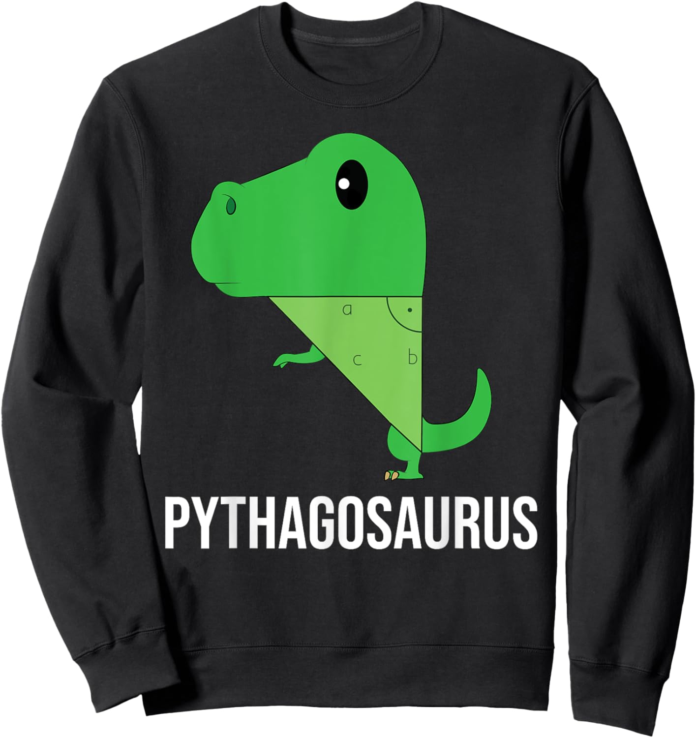 Pythagora's Formula Maths Teacher Nerd T-Rex Dinosaur Sweatshirt - Sweatshirt | Black