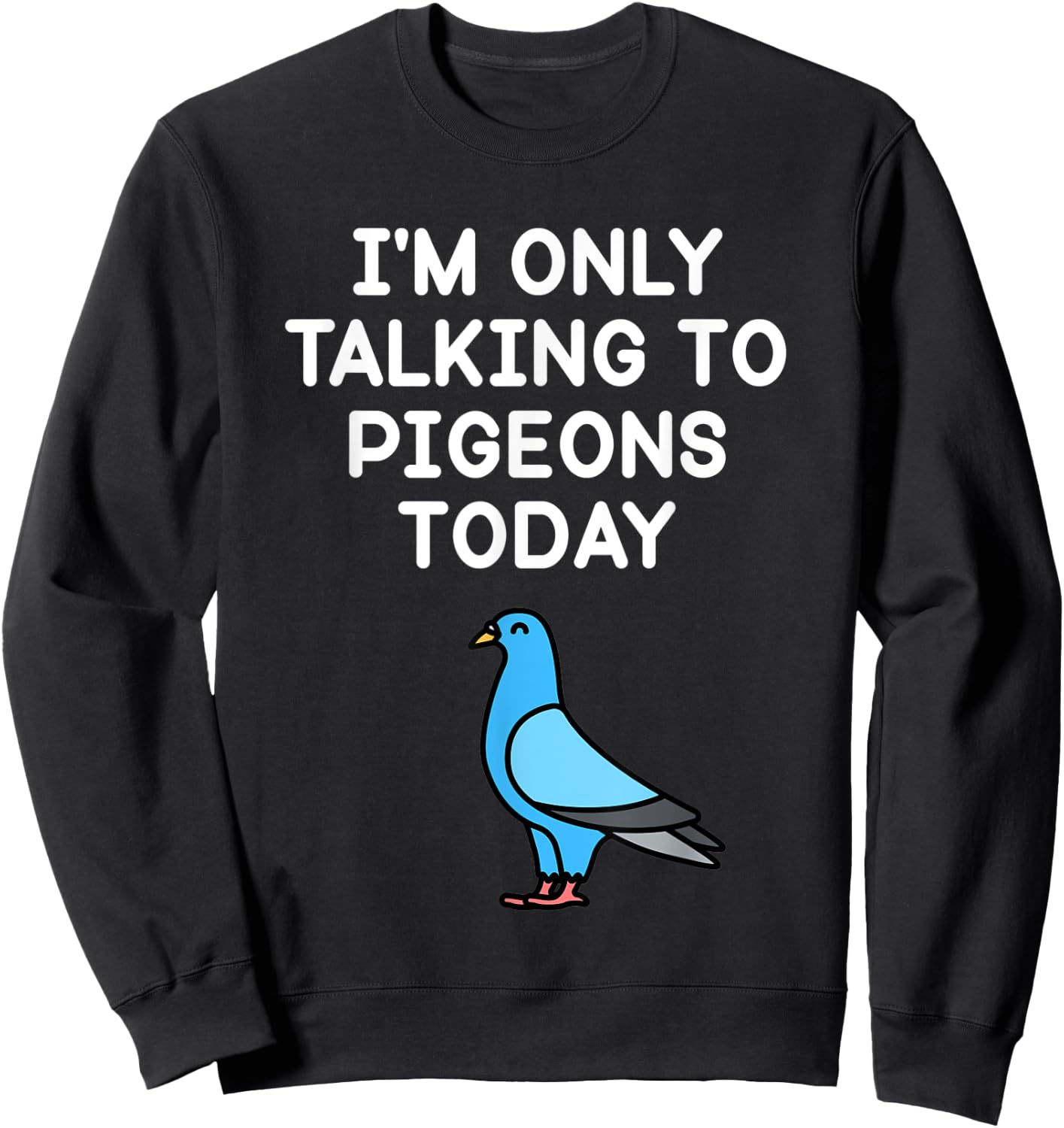 I’m Only Talking To Pigeons Today Funny Pigeon Lover Sweatshirt - Sweatshirt | Black