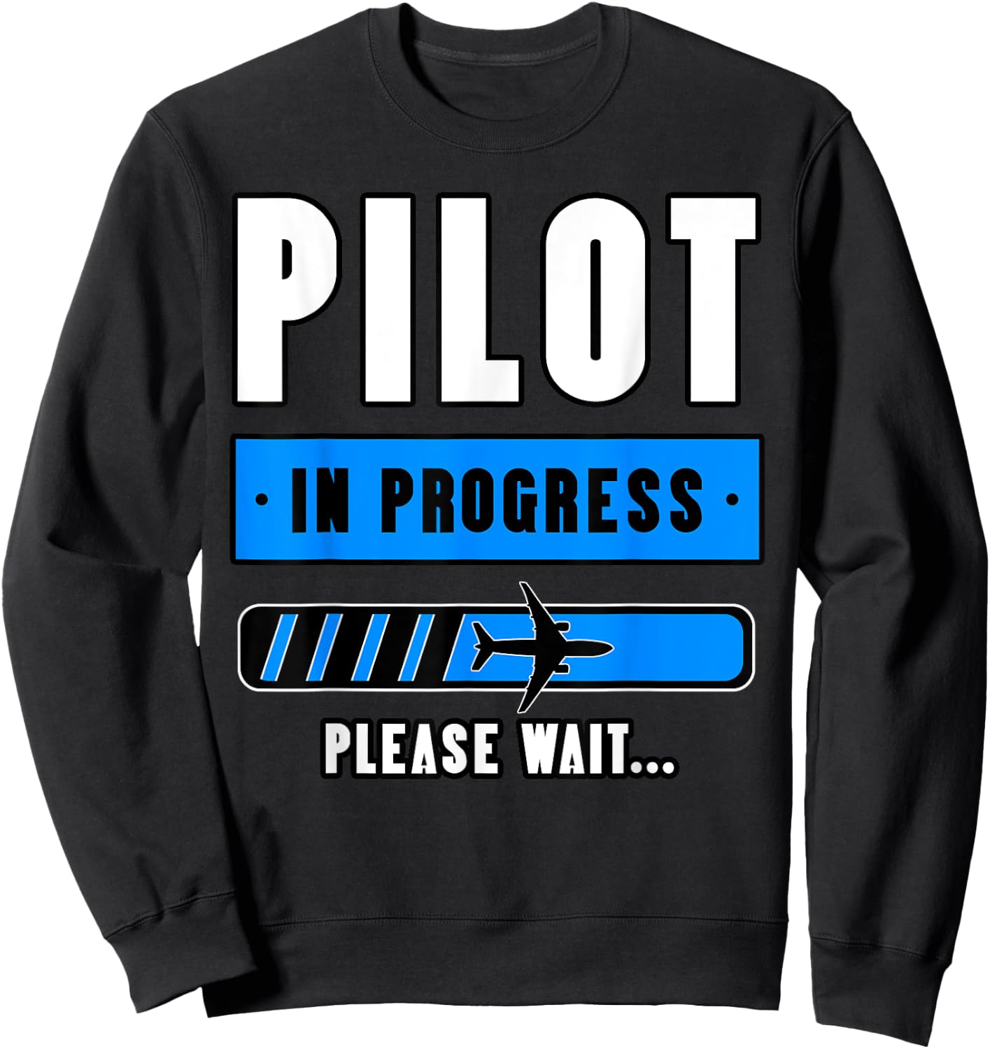 Pilot Airplane Aviation Aircraft Students Aviator Aviatrices Sweatshirt - Sweatshirt | Black