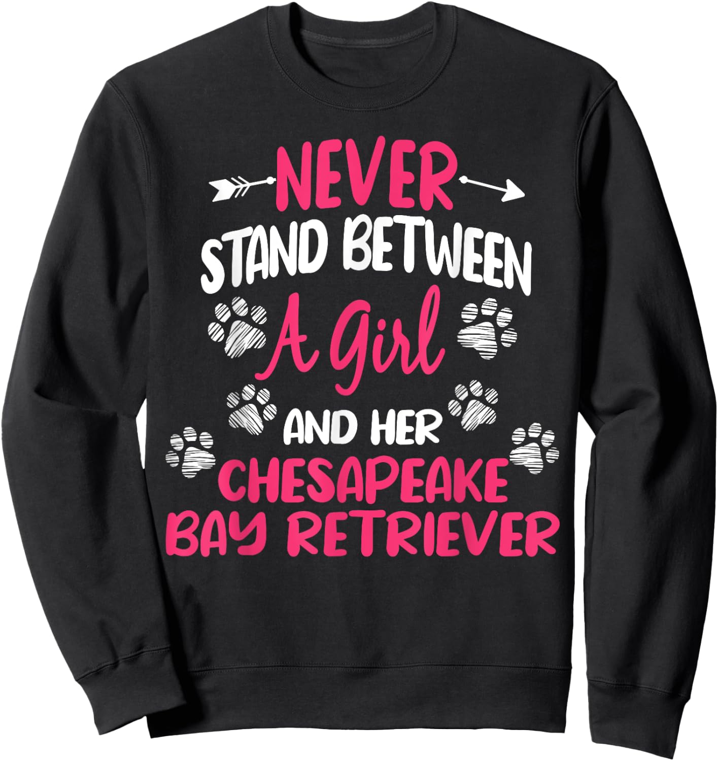 Never Stand Between A Girl And Her Chesapeake Bay Retriever Sweatshirt - Sweatshirt | Black