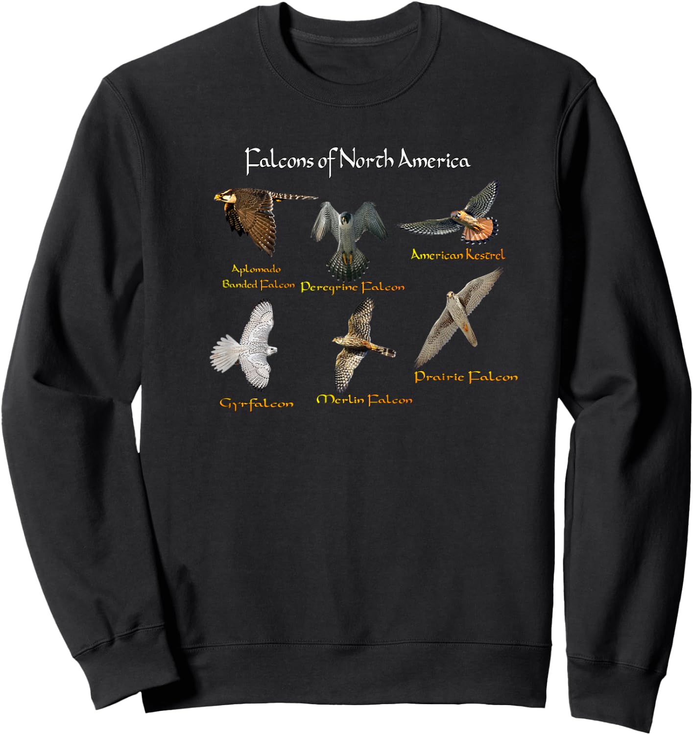 Types of Falcons Sweatshirt - Sweatshirt | Black