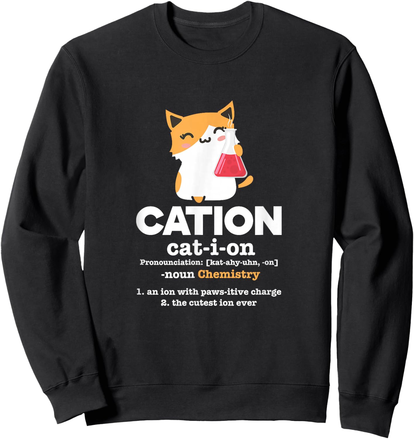 Cation Cat Ion Science Chemistry Definition Sweatshirt - Sweatshirt | Black