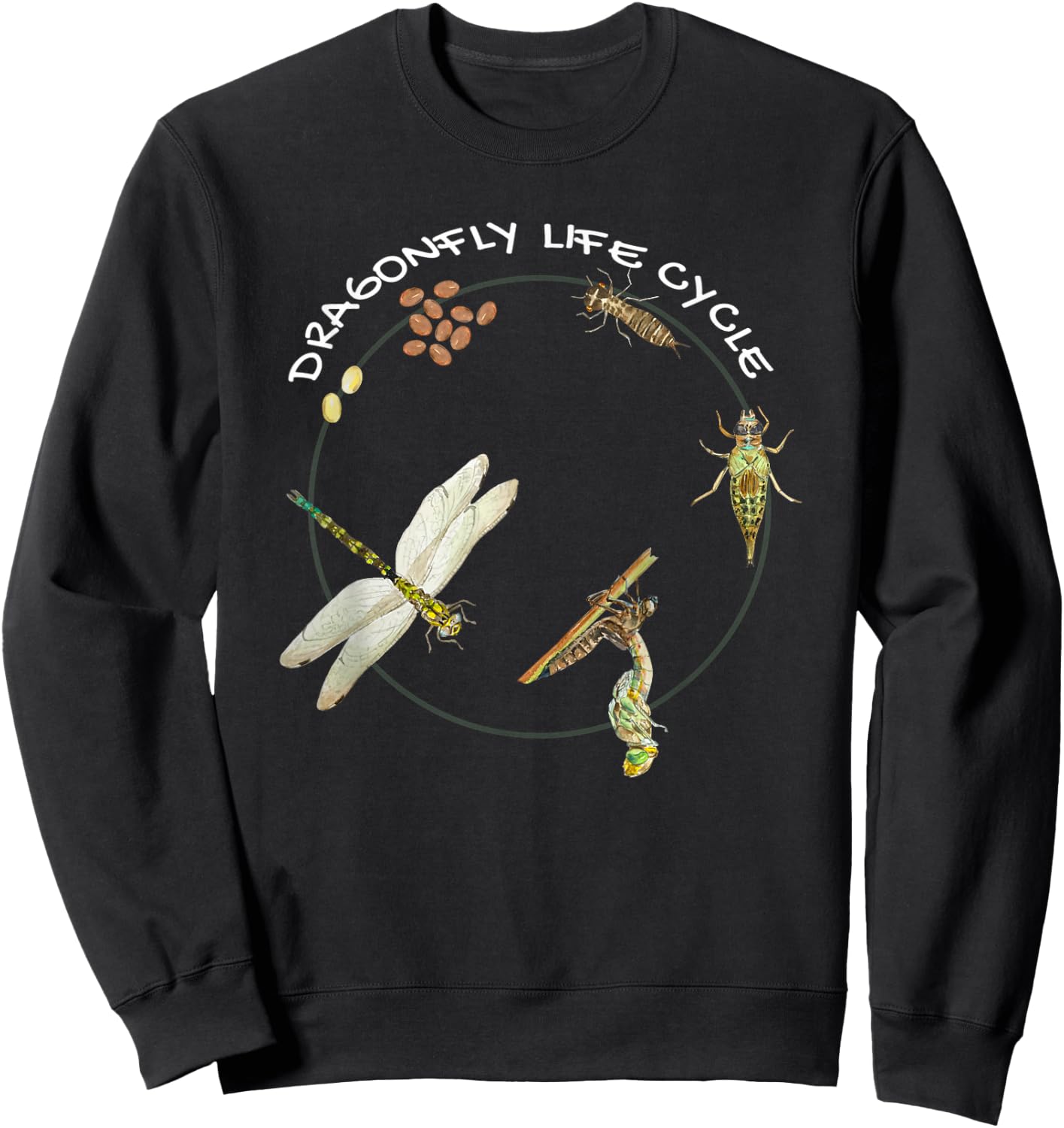Dragonfly Life Cycle Facts 3 Stages Insect Development Sweatshirt - Sweatshirt | Black