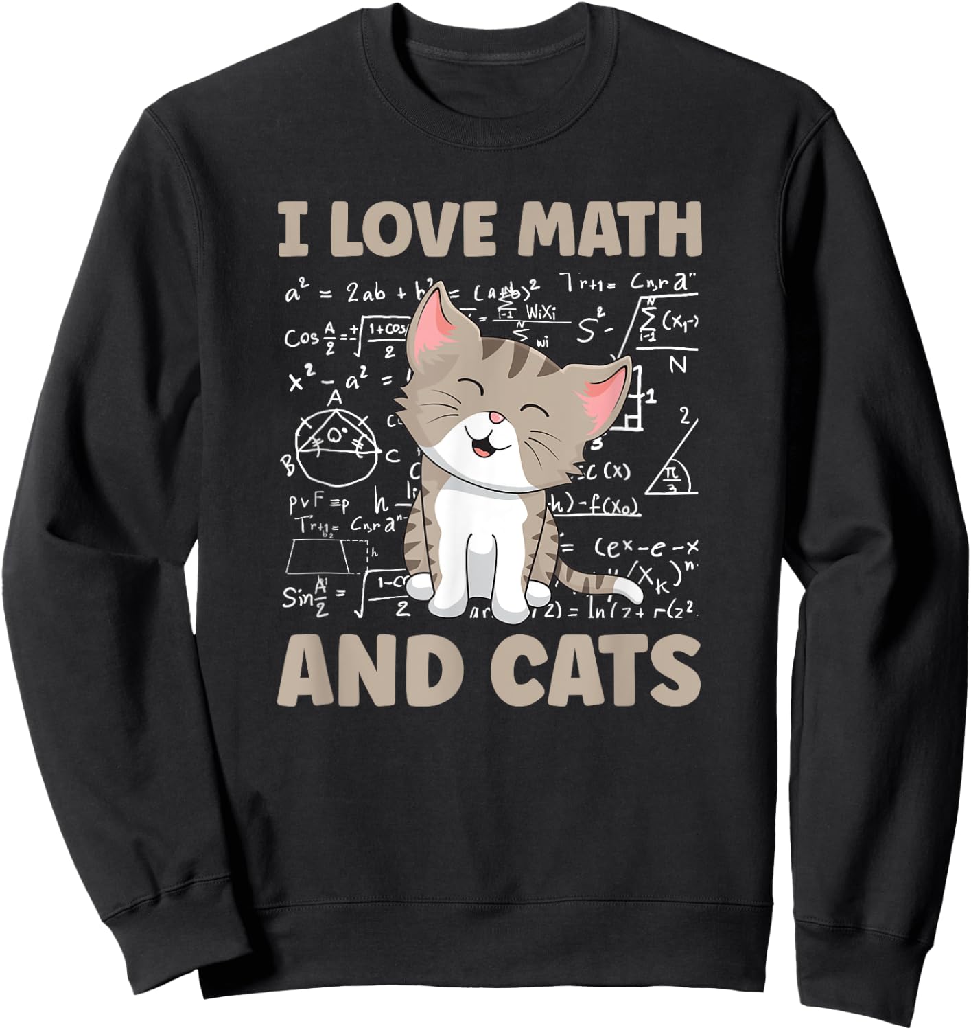 I Love Math And Cats Funny Cat Lover and Math Teacher Sweatshirt - Sweatshirt | Black