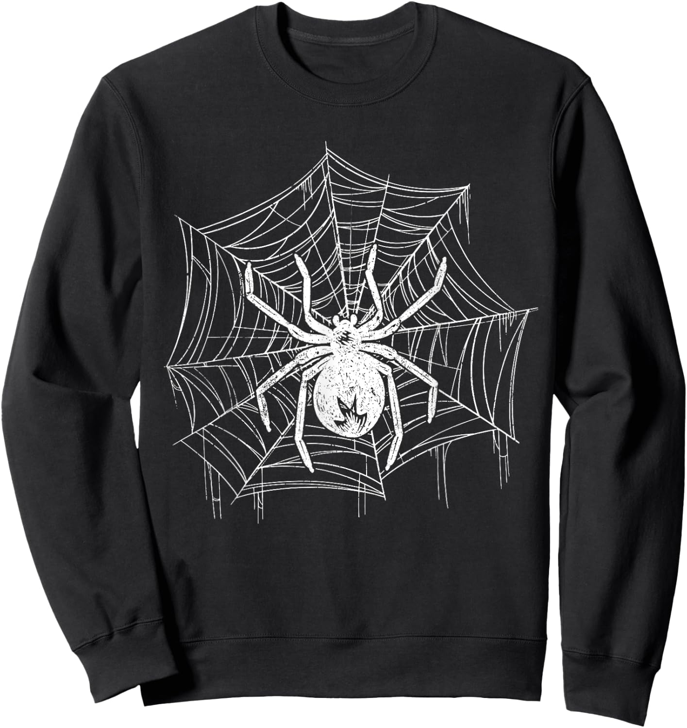 Spider Gift Terrarium Spider Web Costume Bird Spider Sweatshirt - Sweatshirt | Black