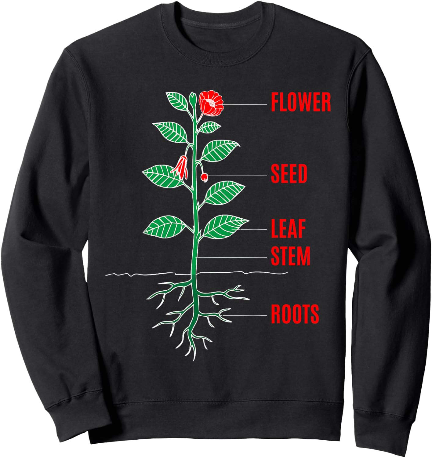 Parts of a Plant Science Gift Teachers Kids and Students Sweatshirt - Sweatshirt | Black